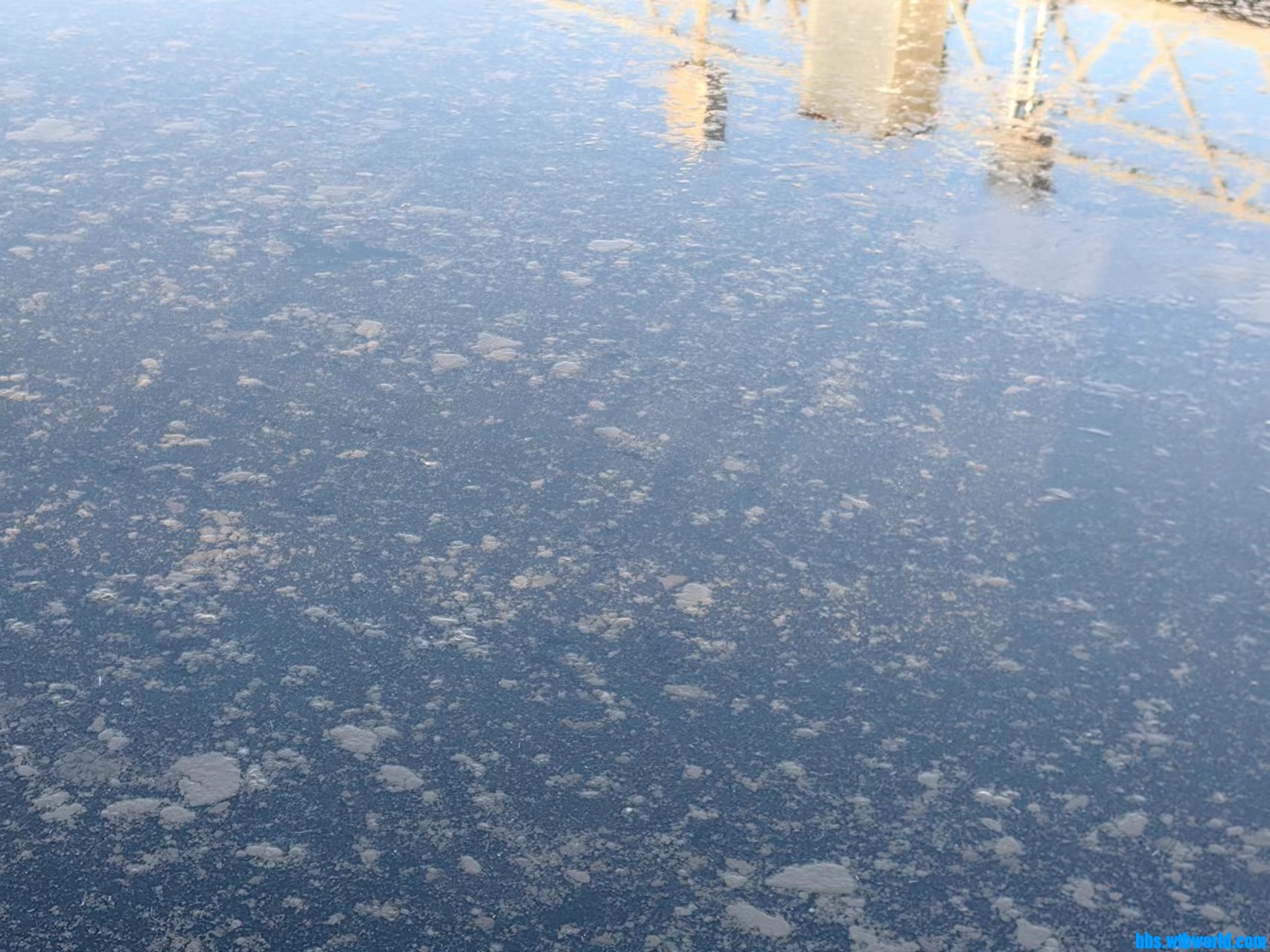 wechat_upload167576370663e21ffab6461