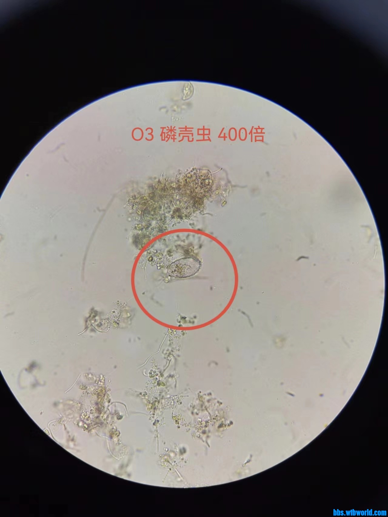 wechat_upload167680808963f20f99e8e08