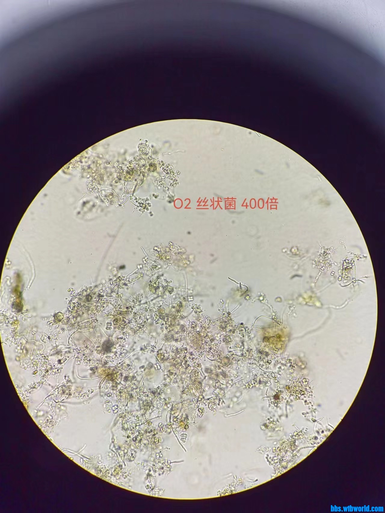 wechat_upload167680809063f20f9a61363