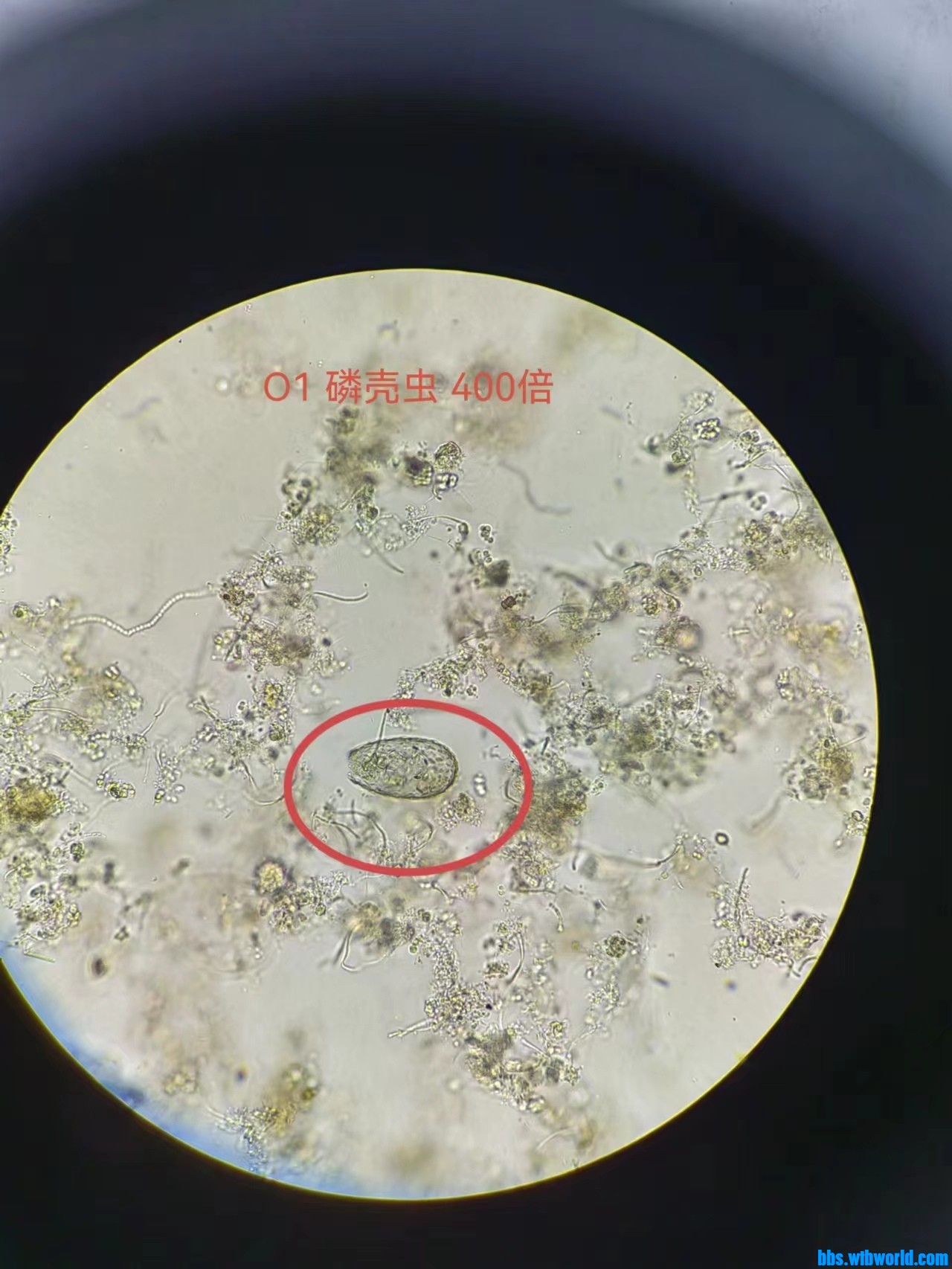 wechat_upload167680809063f20f9acbe2b