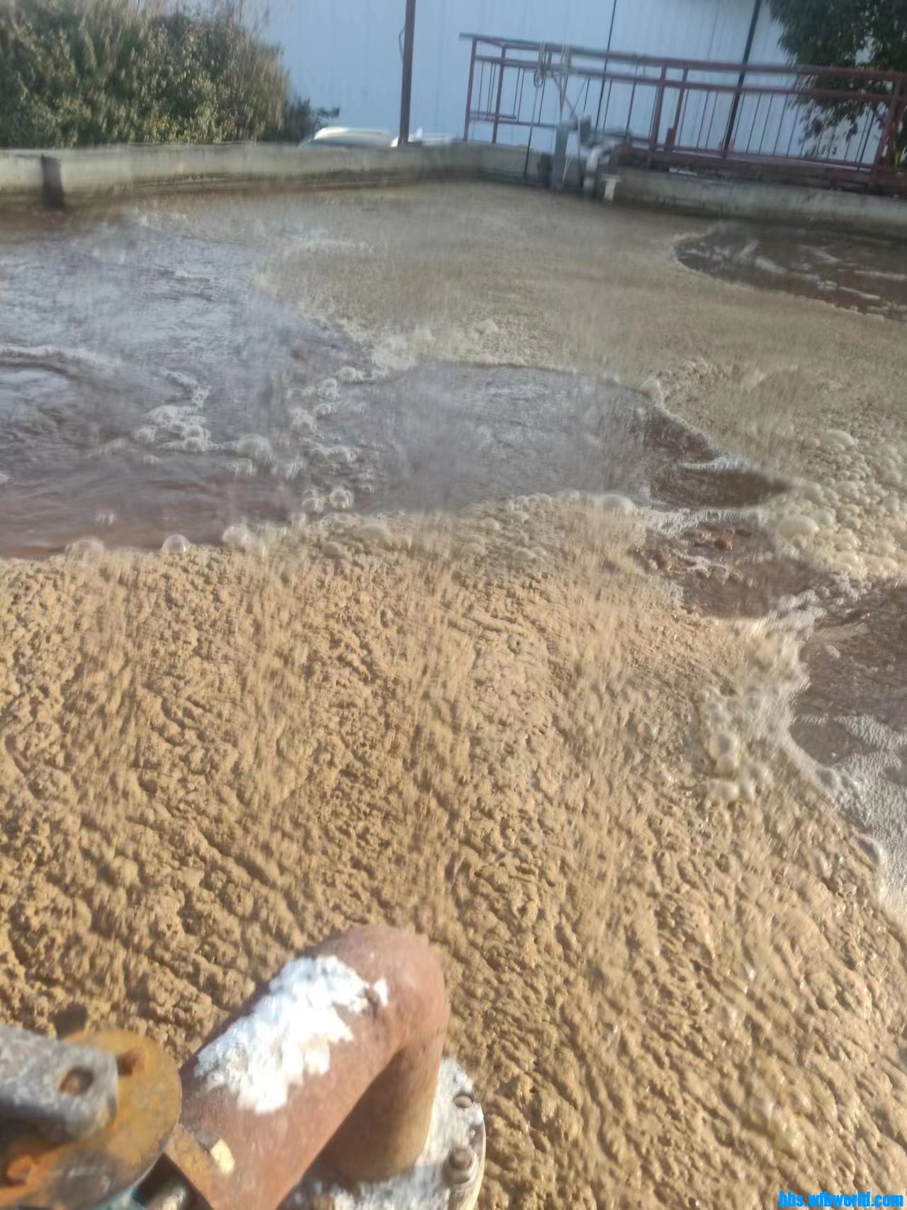 wechat_upload167687926563f325a162e76