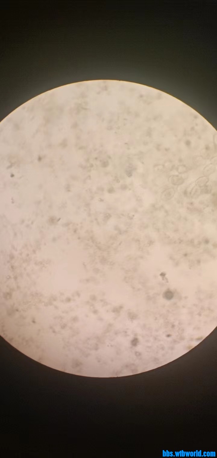 wechat_upload167687926663f325a23d648