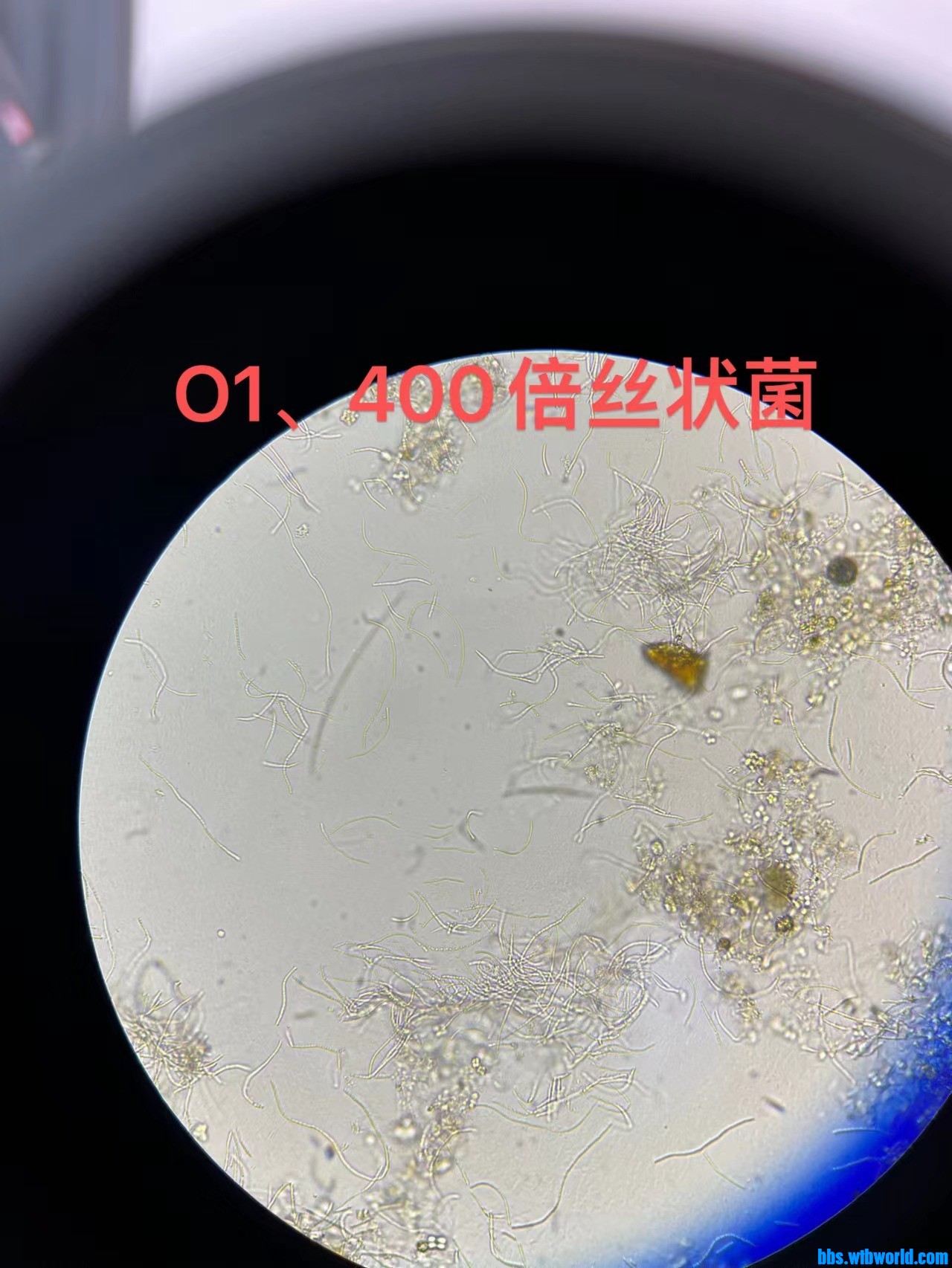 wechat_upload167688506863f33c4c1088c