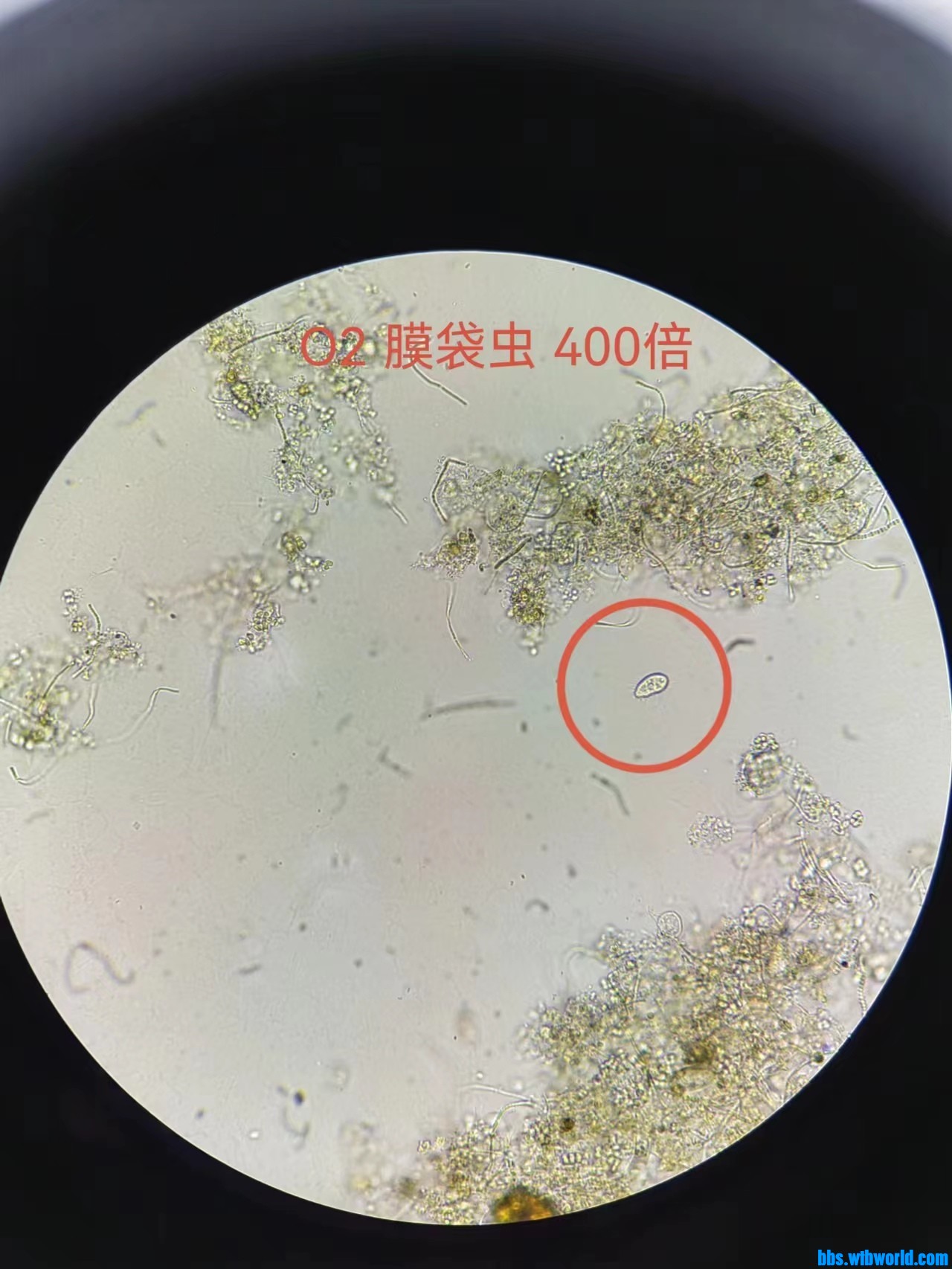 wechat_upload167699128563f4db3555949