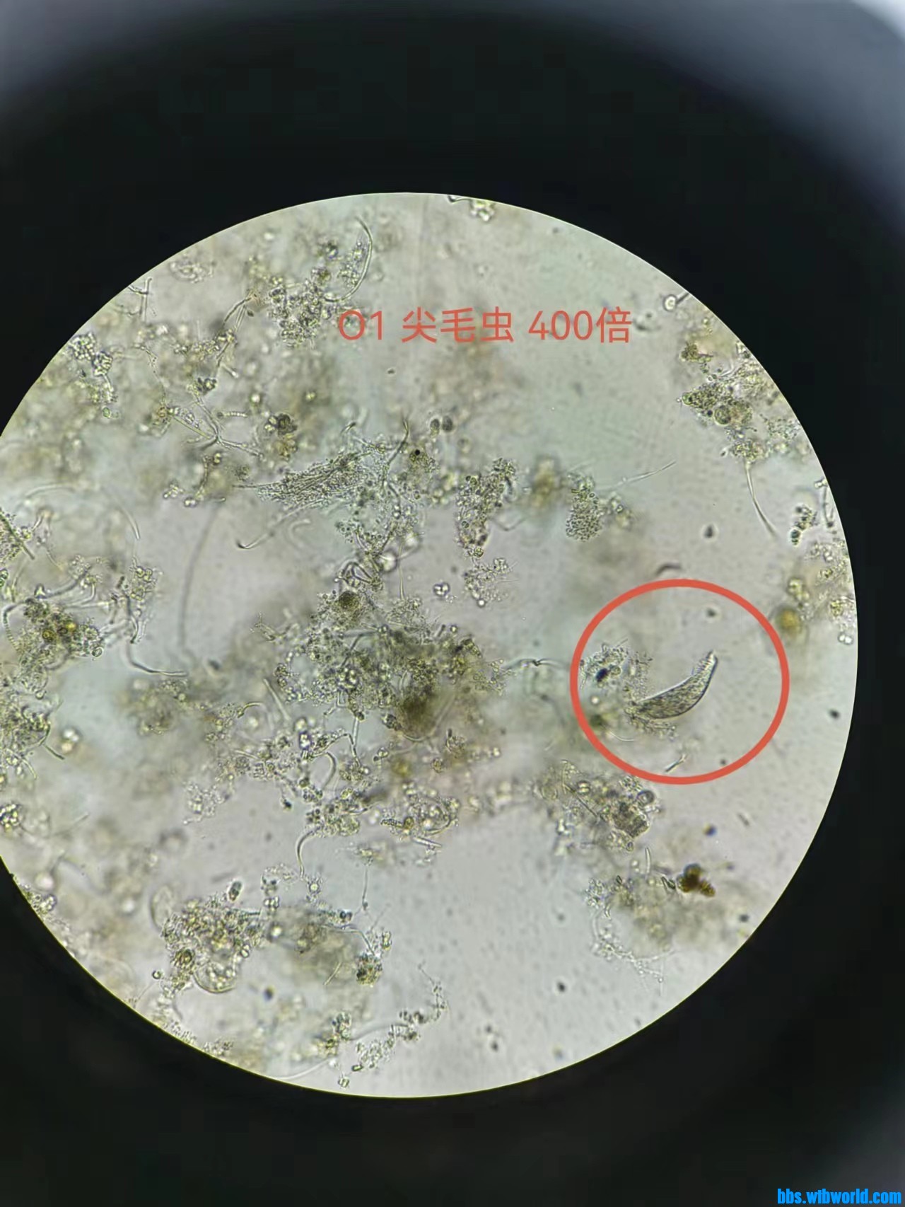 wechat_upload167699128663f4db3661c08