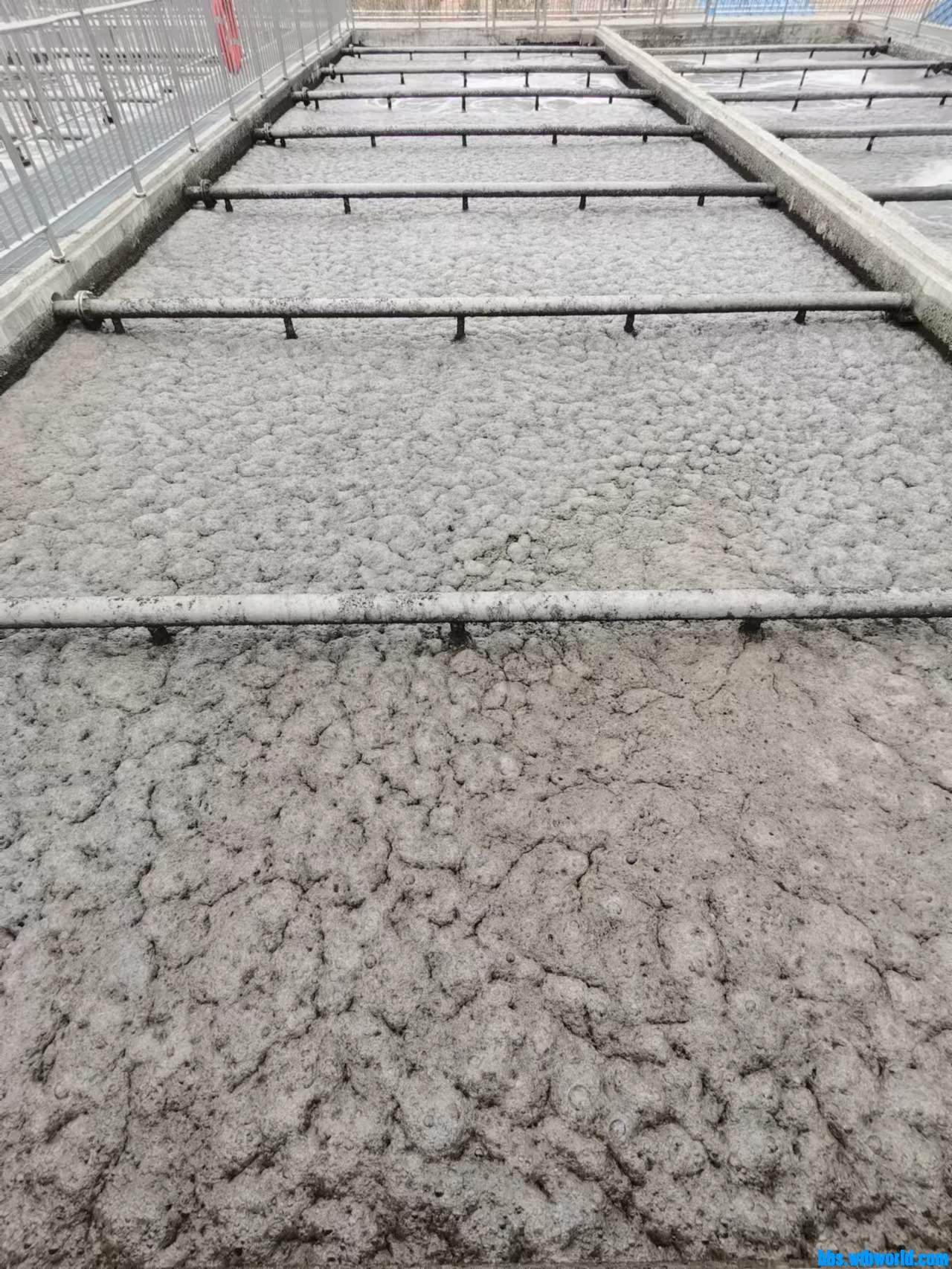 wechat_upload167705069963f5c34b333de