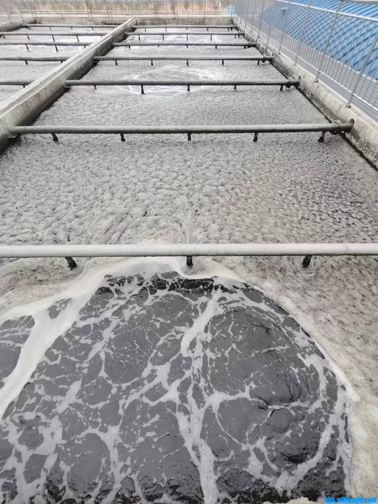 wechat_upload167705069963f5c34ba60f5