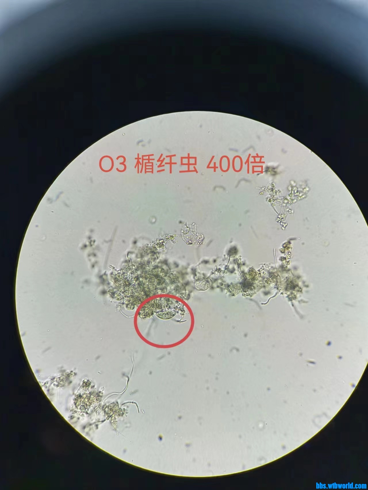 wechat_upload167714310163f72c3de4b36