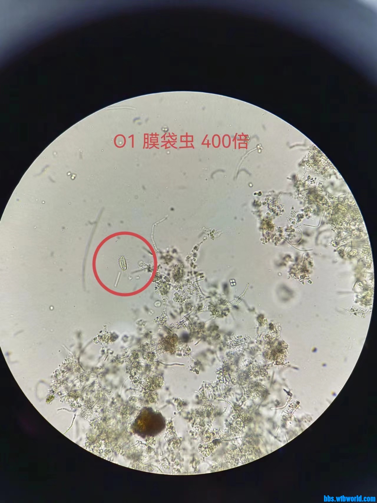 wechat_upload167714310363f72c3f3fa2a