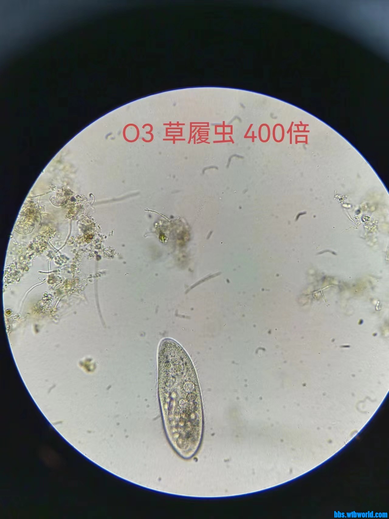 wechat_upload167724004763f8a6efd12e7