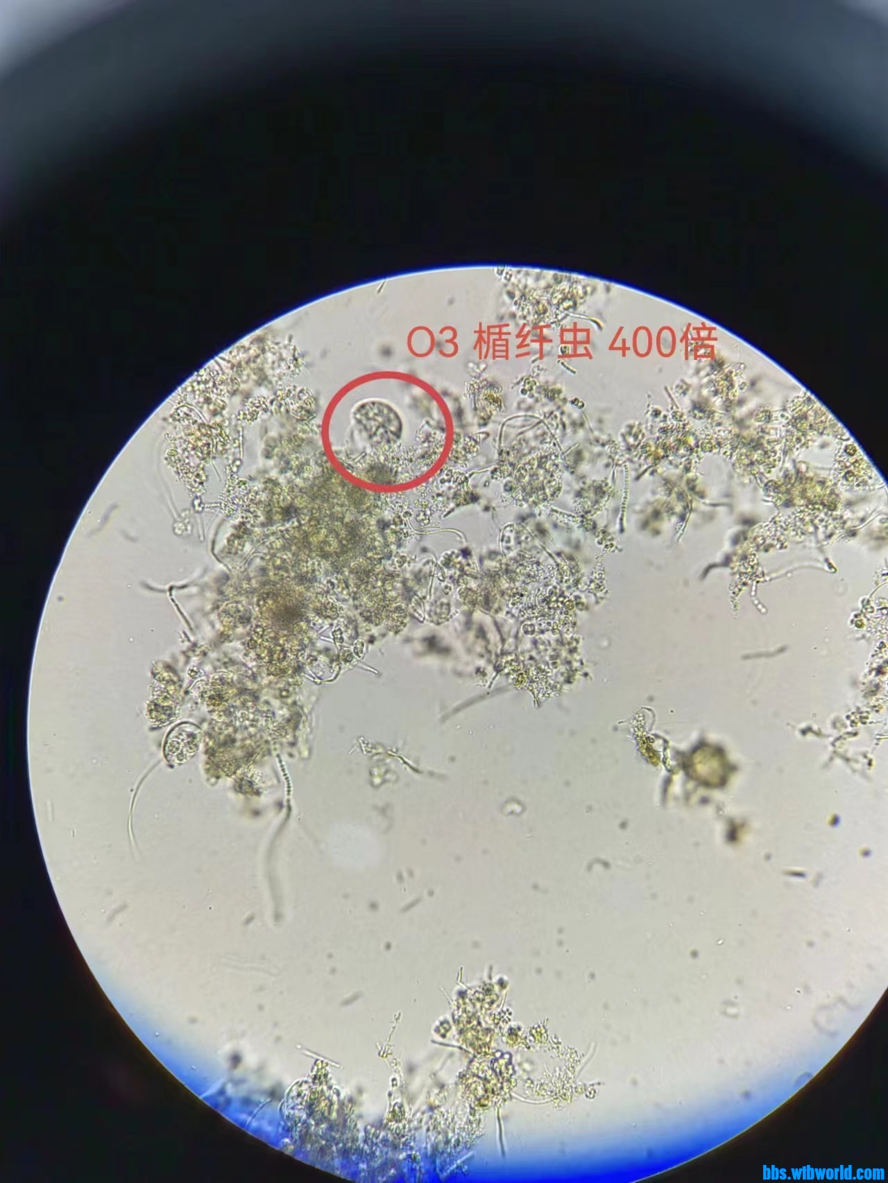 wechat_upload167724004763f8a6ef5d2e4