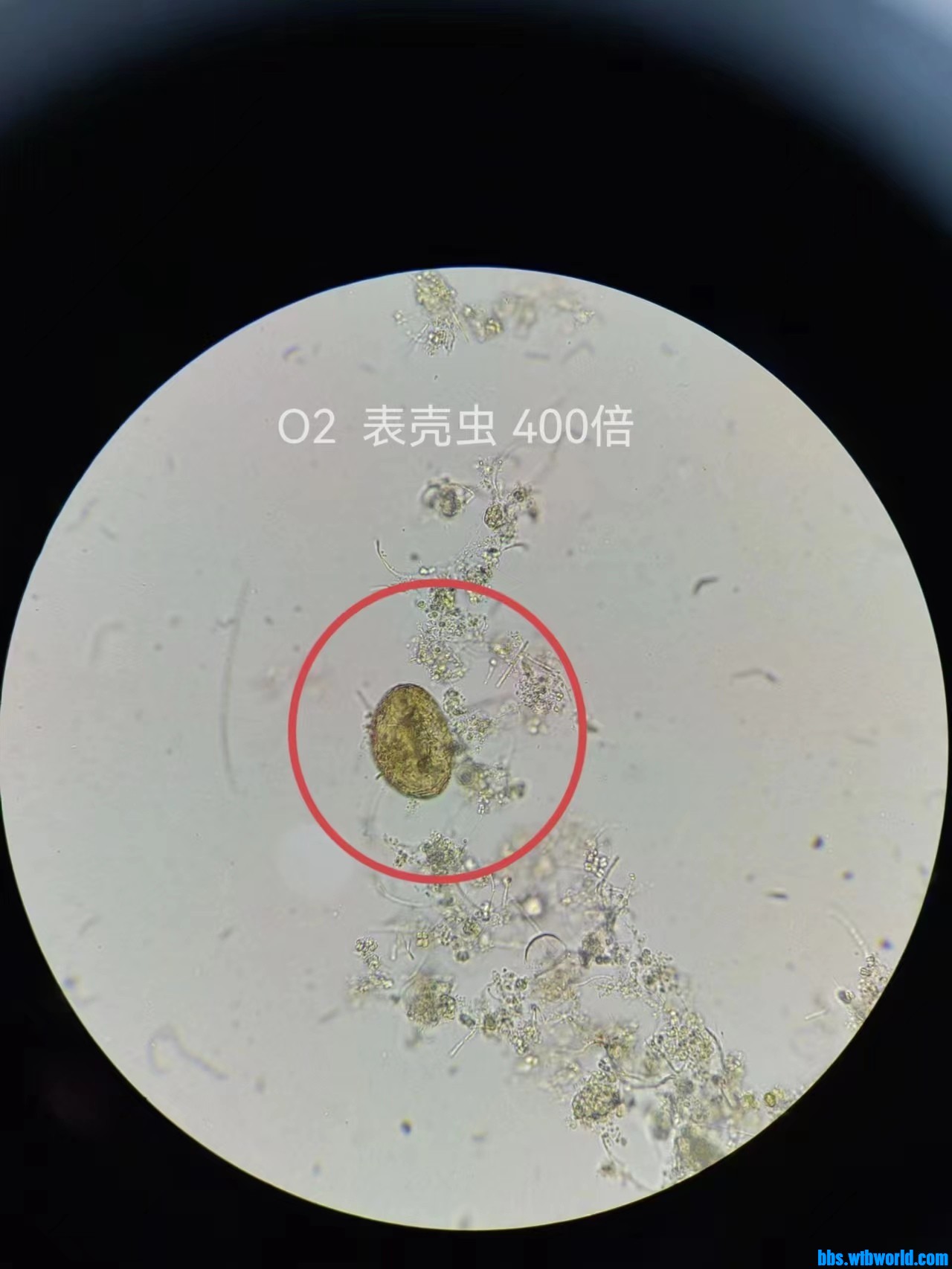 wechat_upload167724004863f8a6f0c0be5