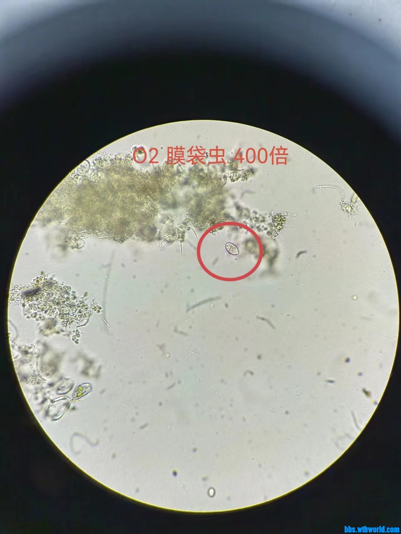 wechat_upload167724004863f8a6f04cefd