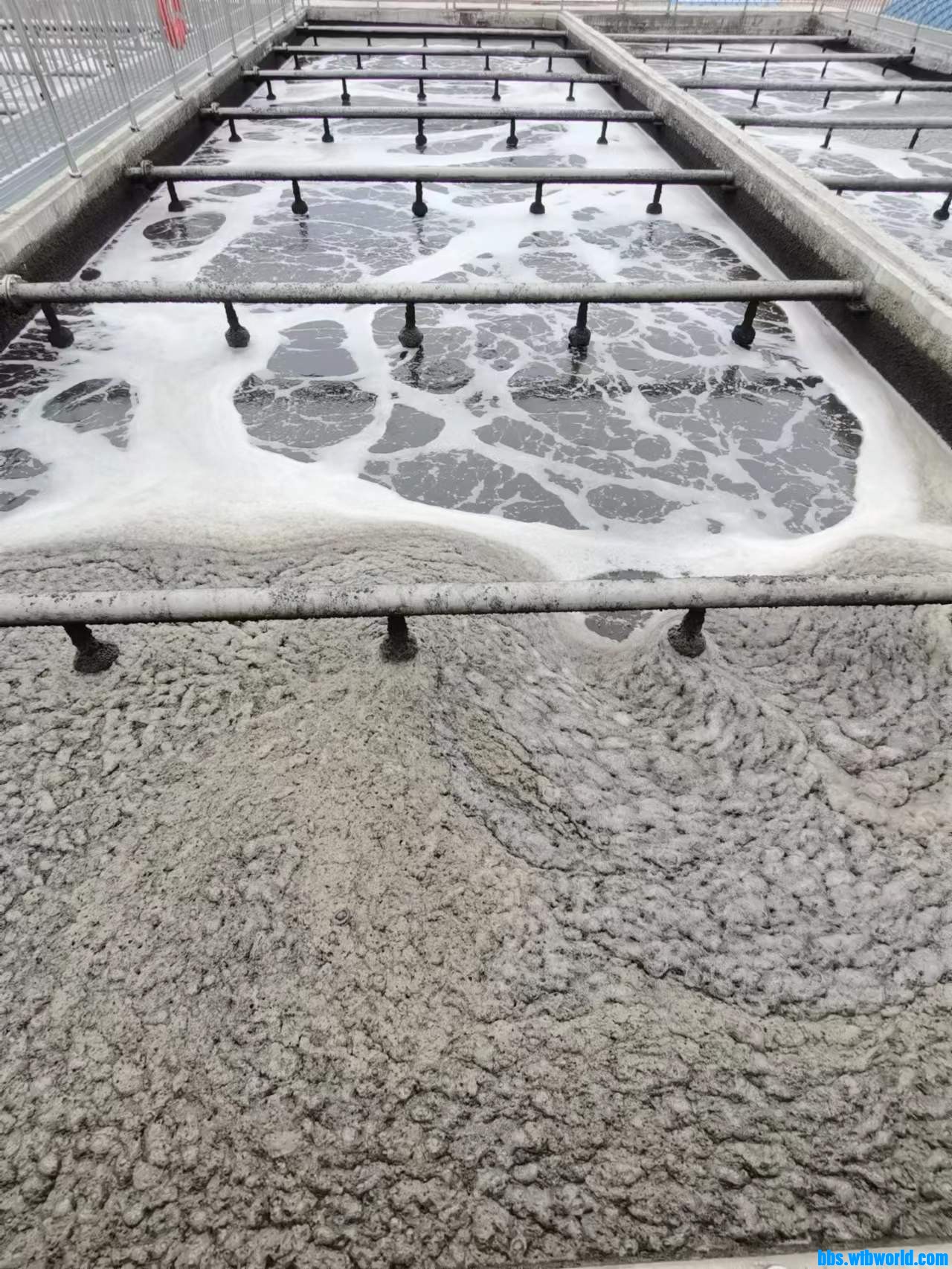 wechat_upload167724005063f8a6f2a2bd0