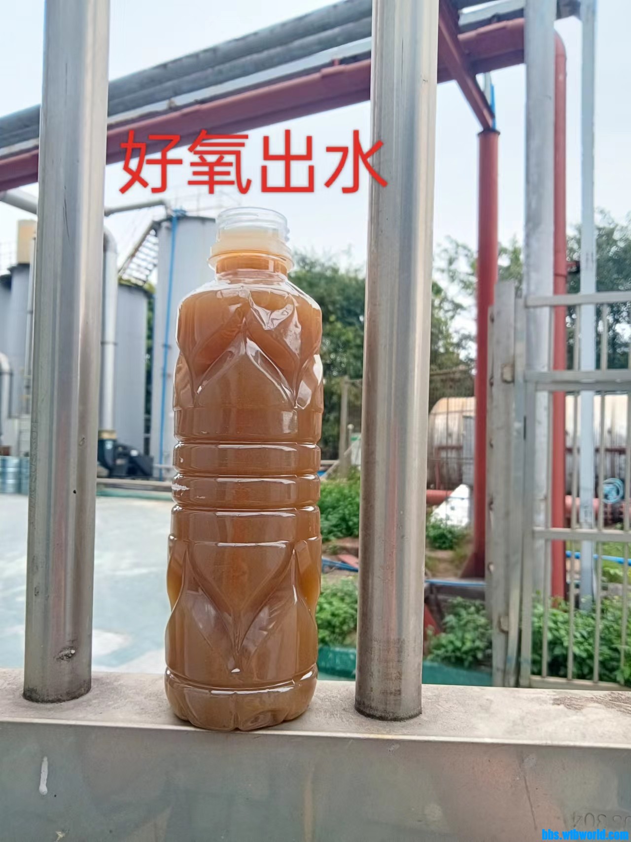 wechat_upload167724145063f8ac6af33a5