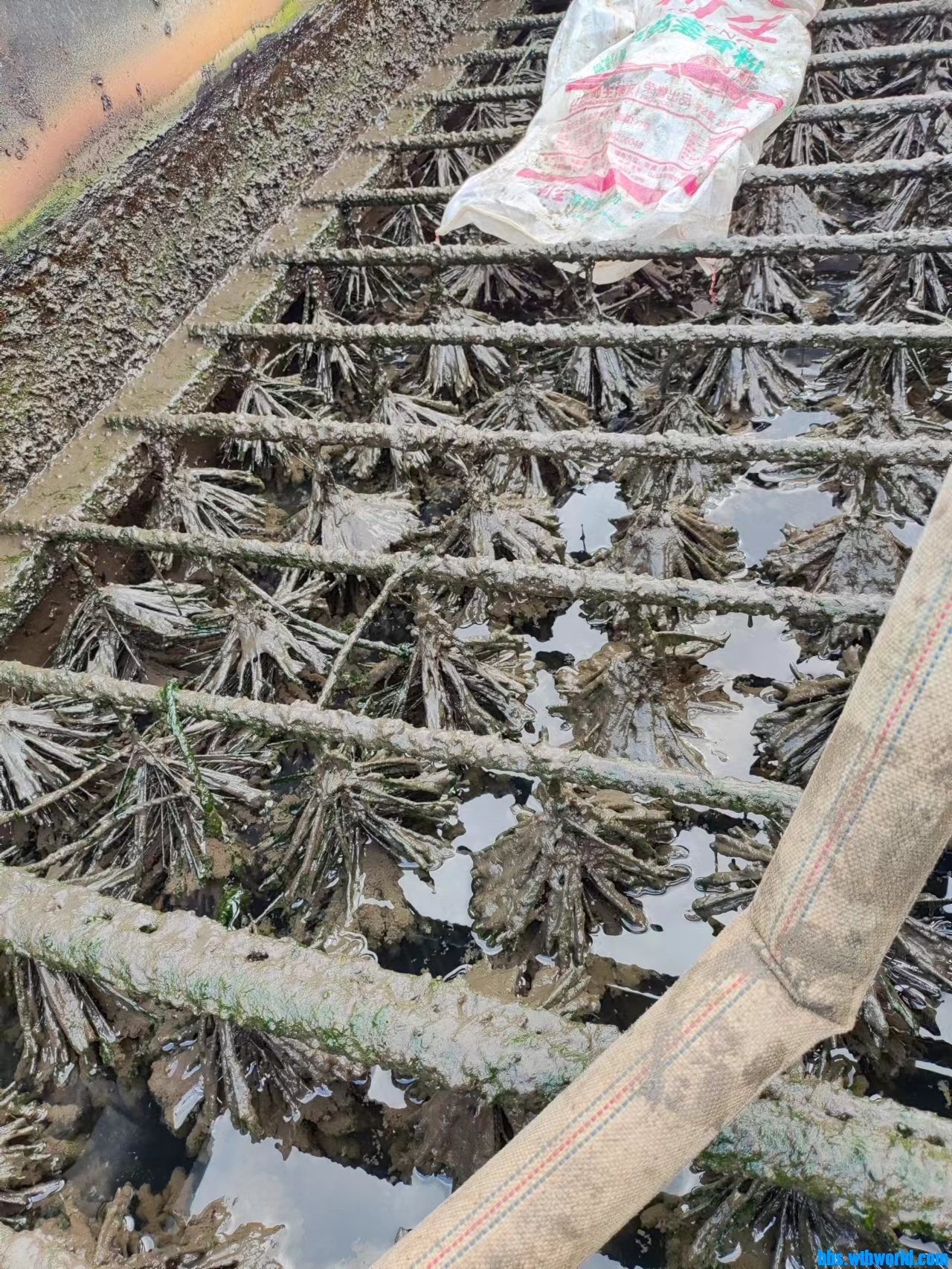 wechat_upload1677822463640189ffcb25a