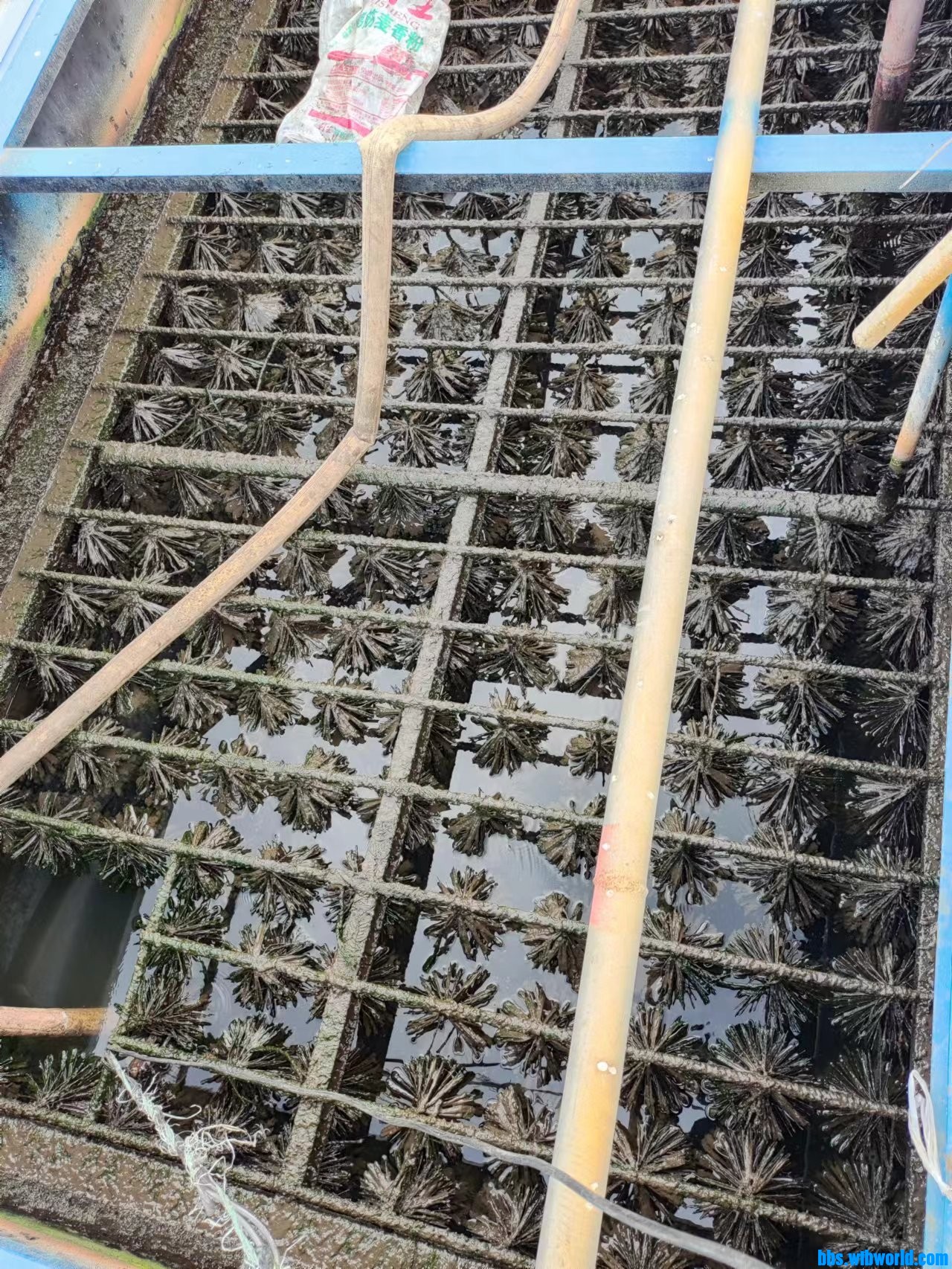 wechat_upload167782246464018a0054ac1