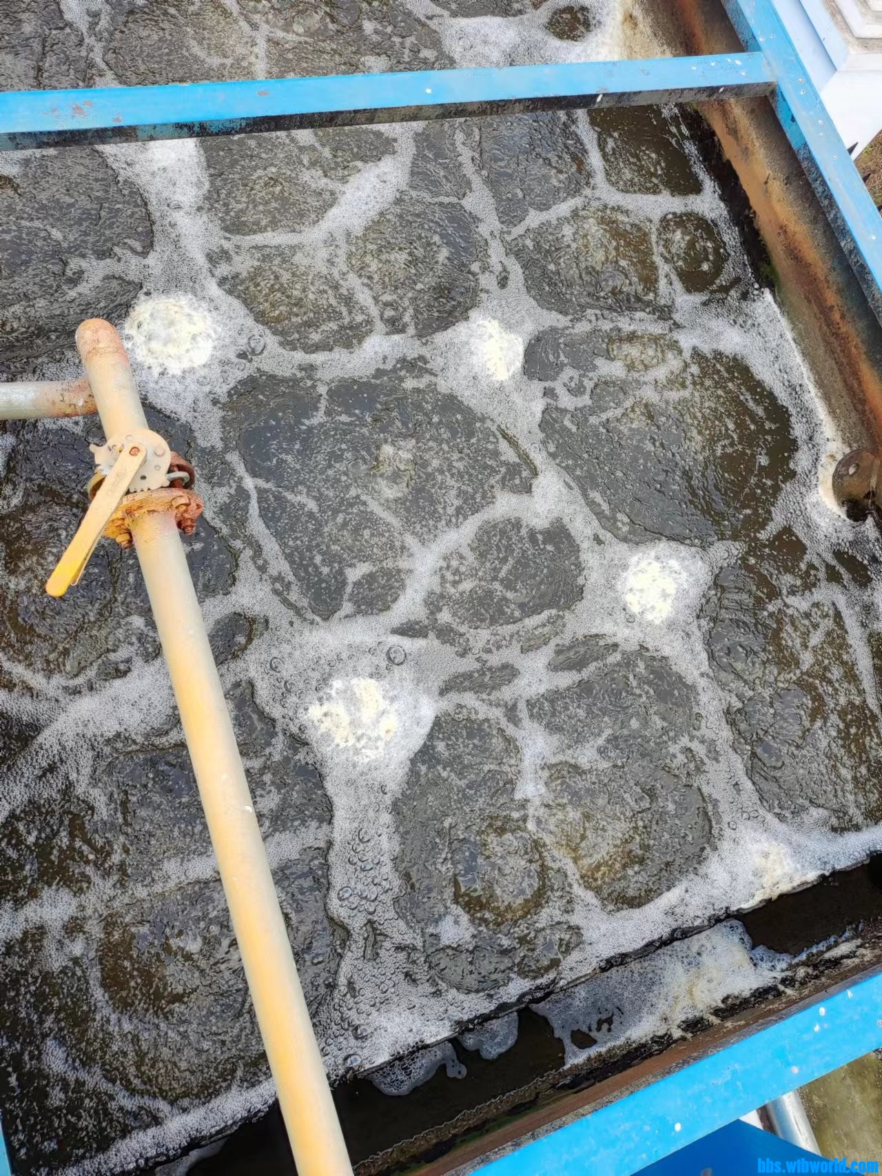 wechat_upload167782246464018a00c108a