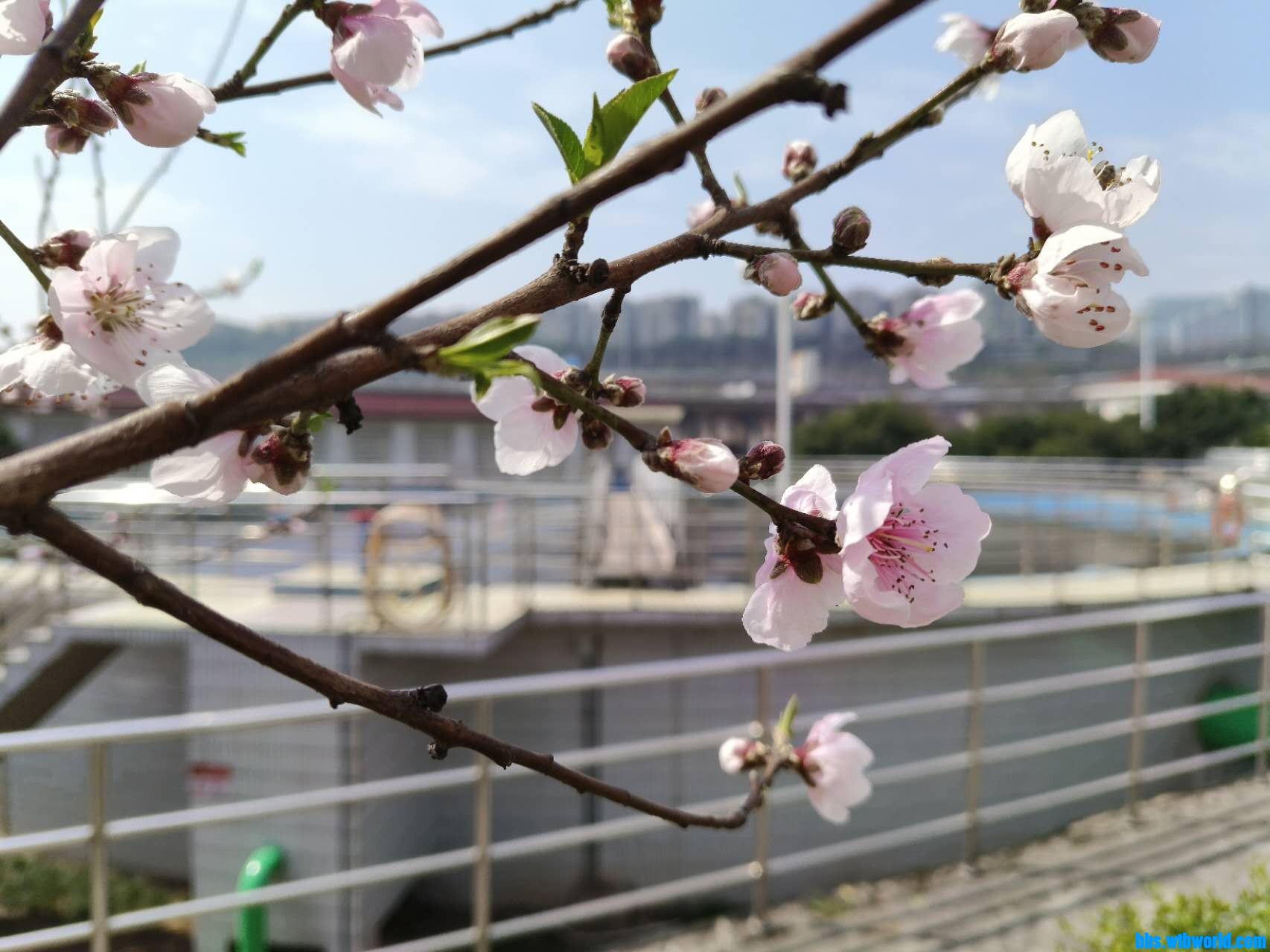 wechat_upload16781059686405dd70b4b9d