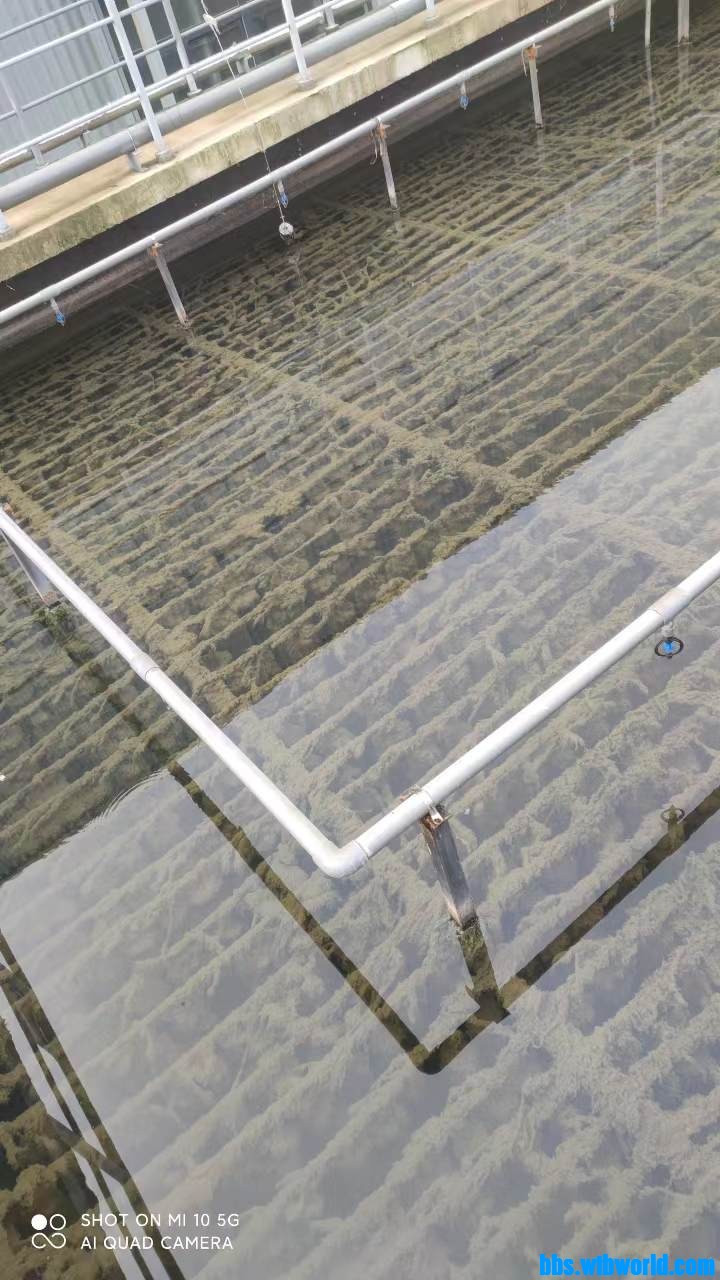 wechat_upload167834328964097c799a49b