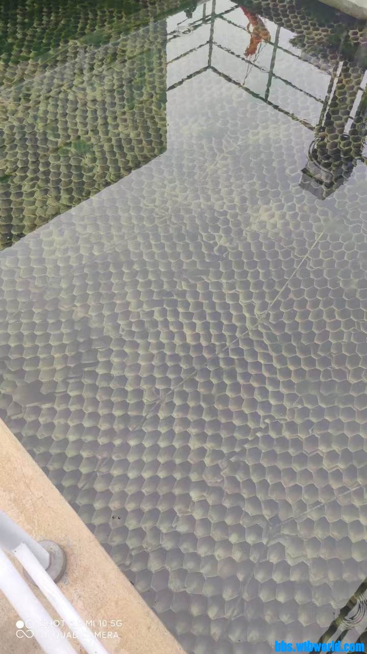 wechat_upload167834328964097c79f419f