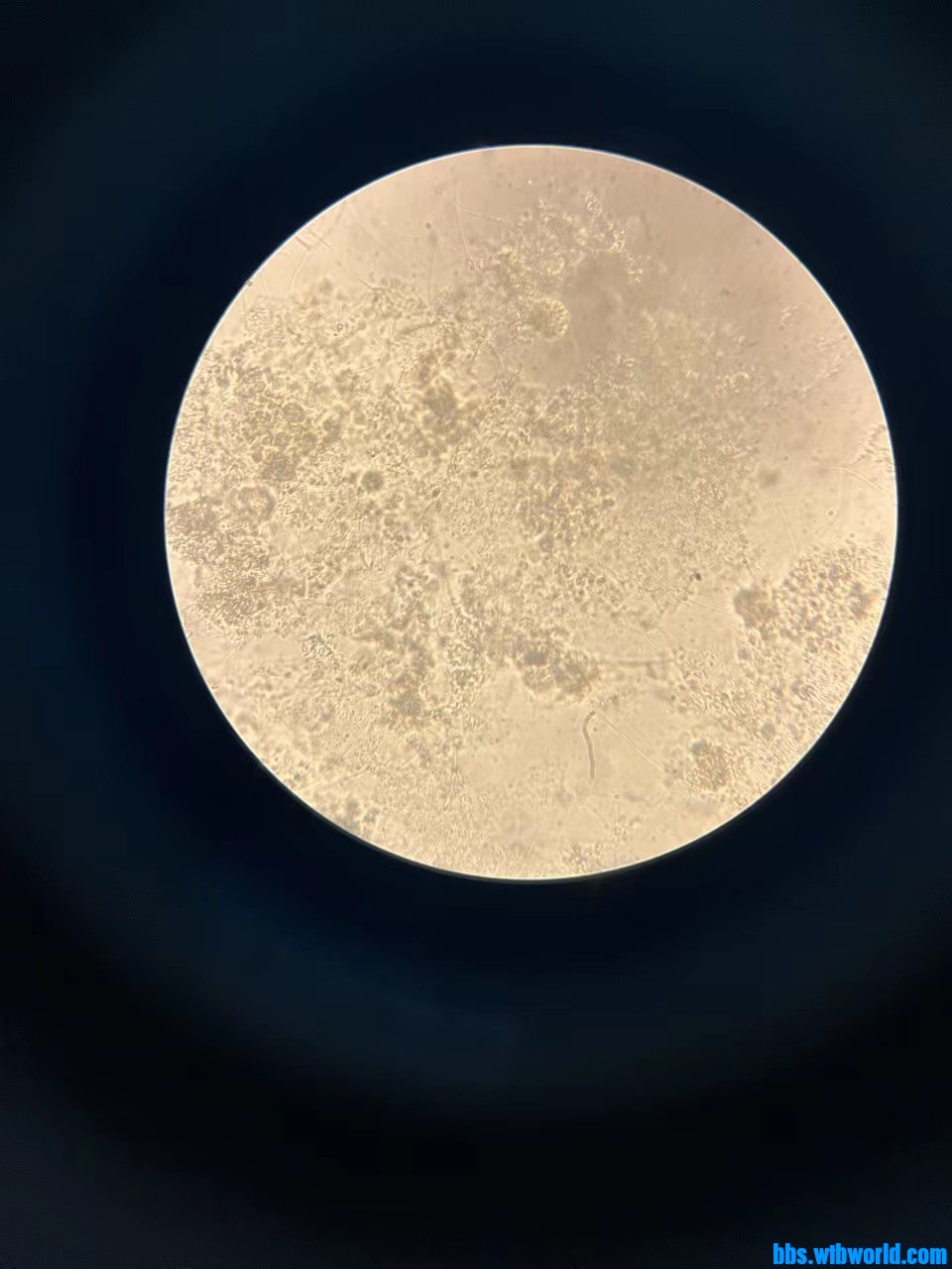 wechat_upload167884834164113155d68b8