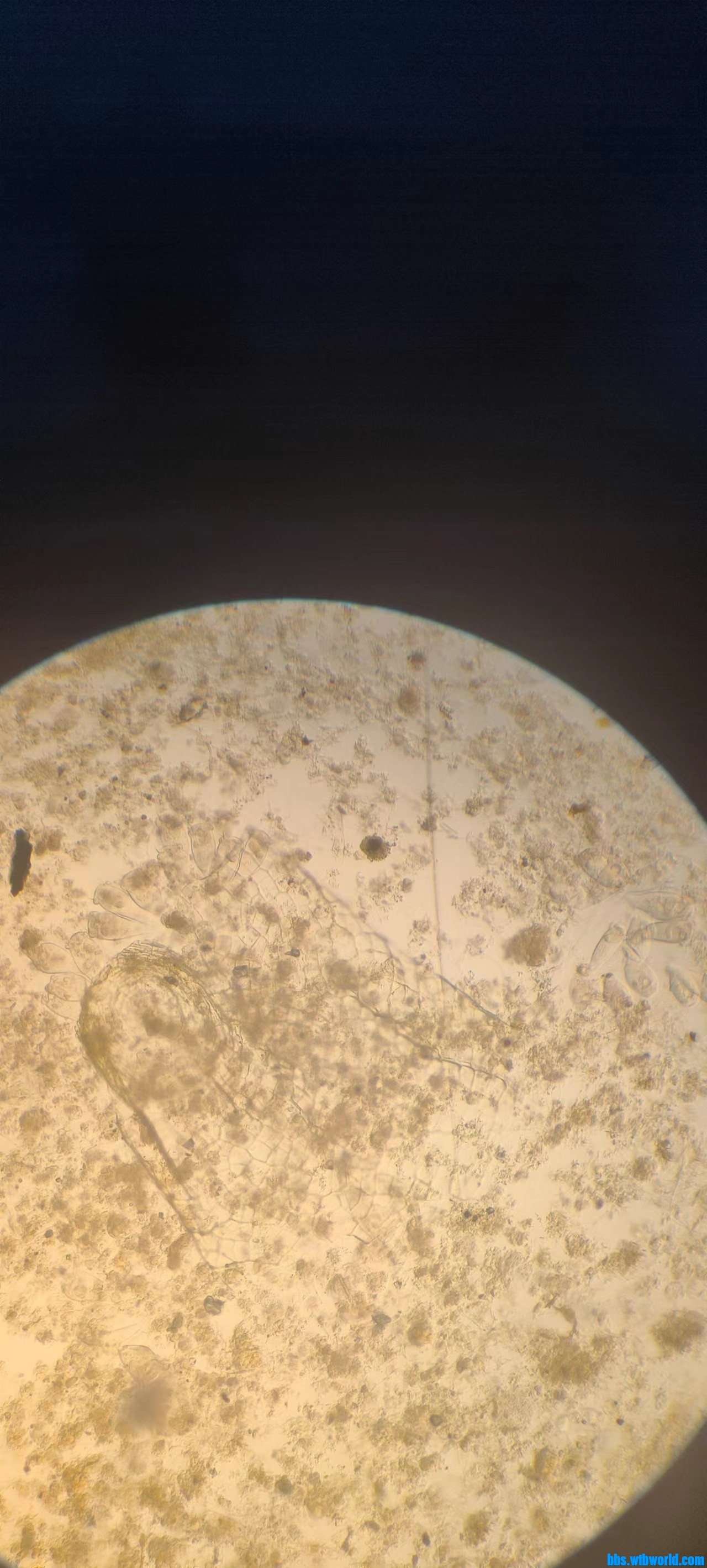 wechat_upload1679710598641e5986a7b4a