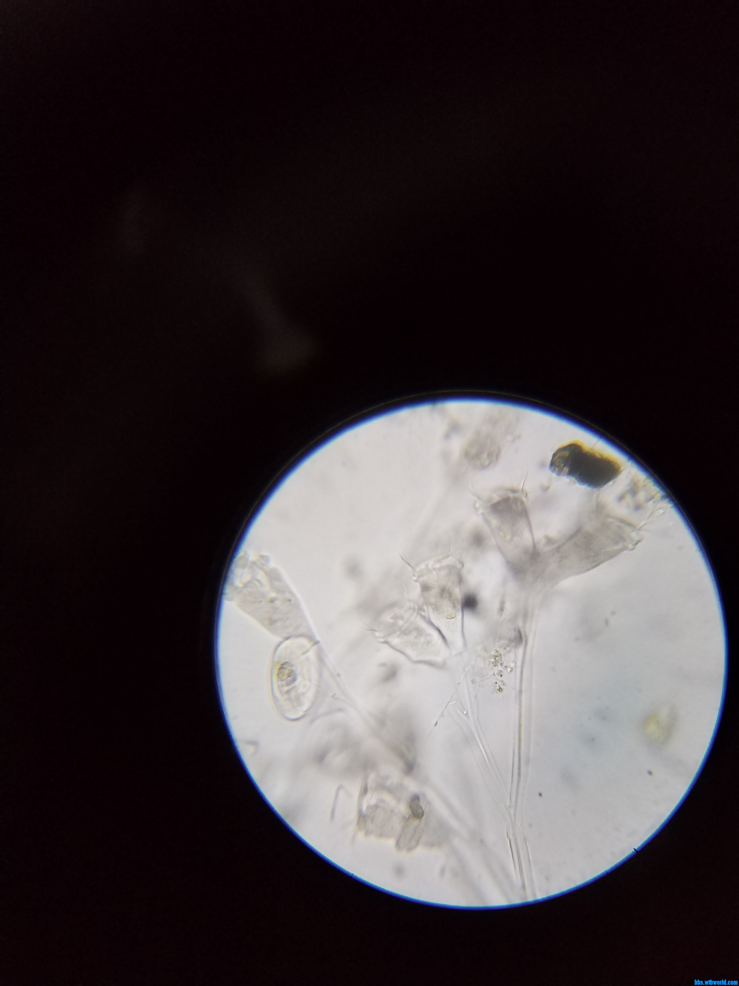 wechat_upload1679807828641fd5540714e