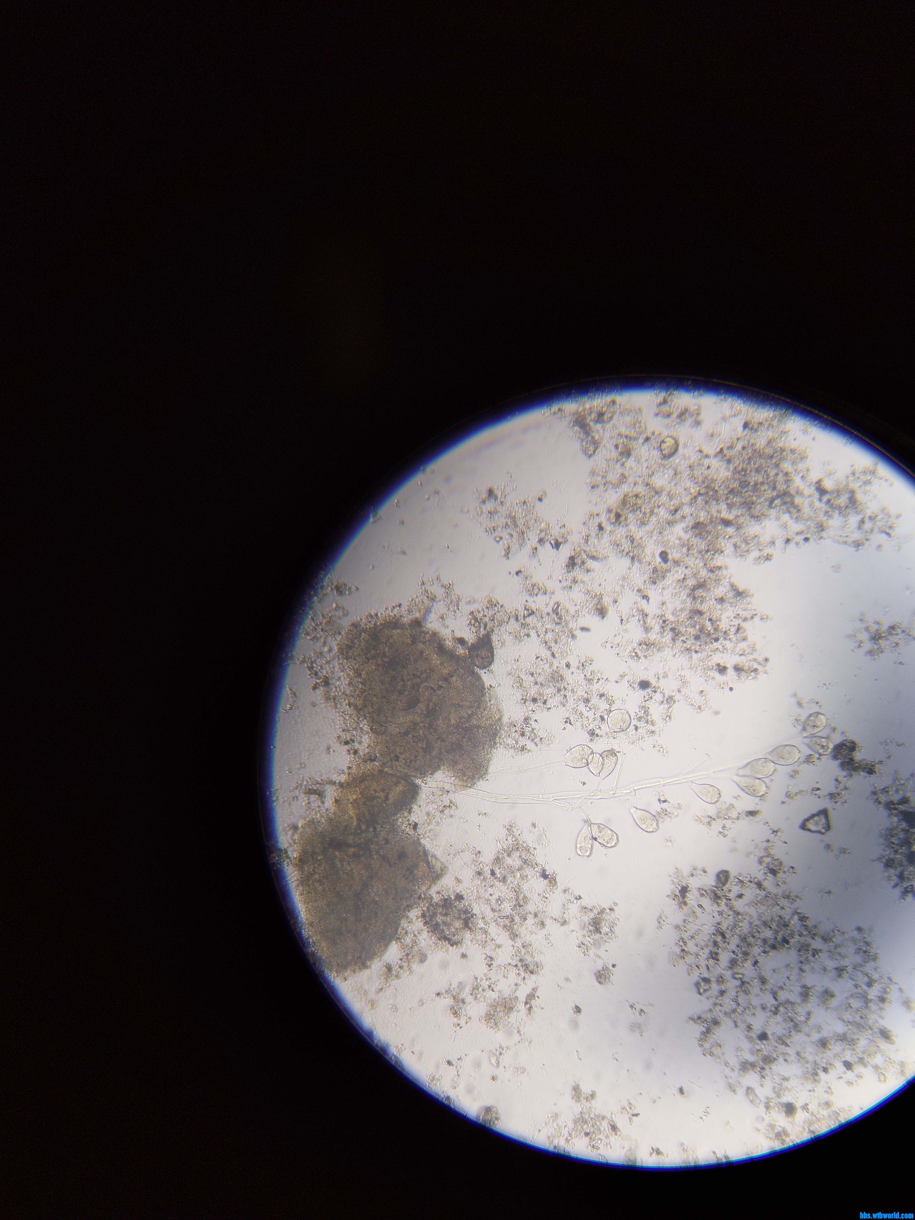 wechat_upload1679807910641fd5a6d01ad