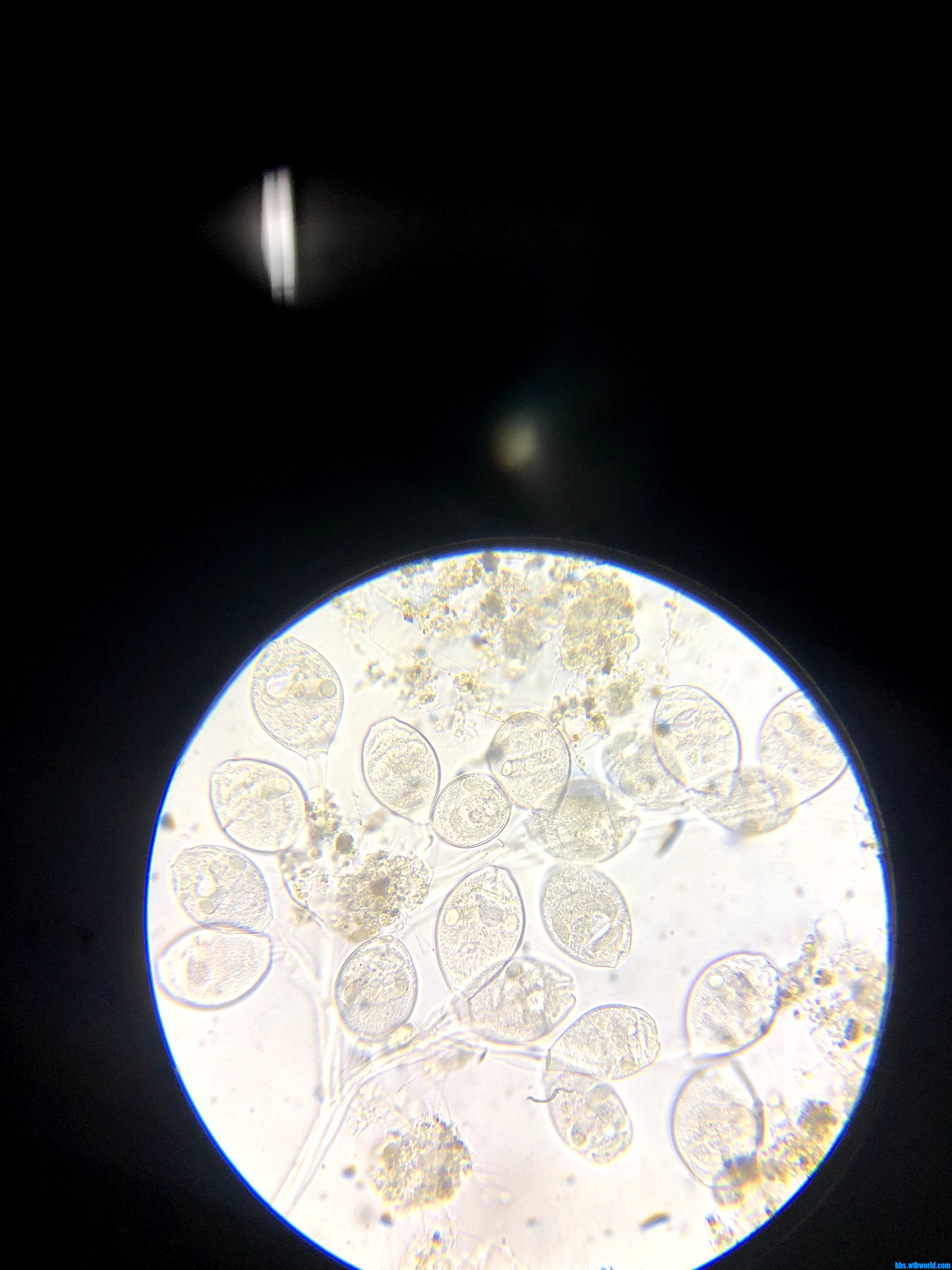 wechat_upload1679808009641fd6091ad9f