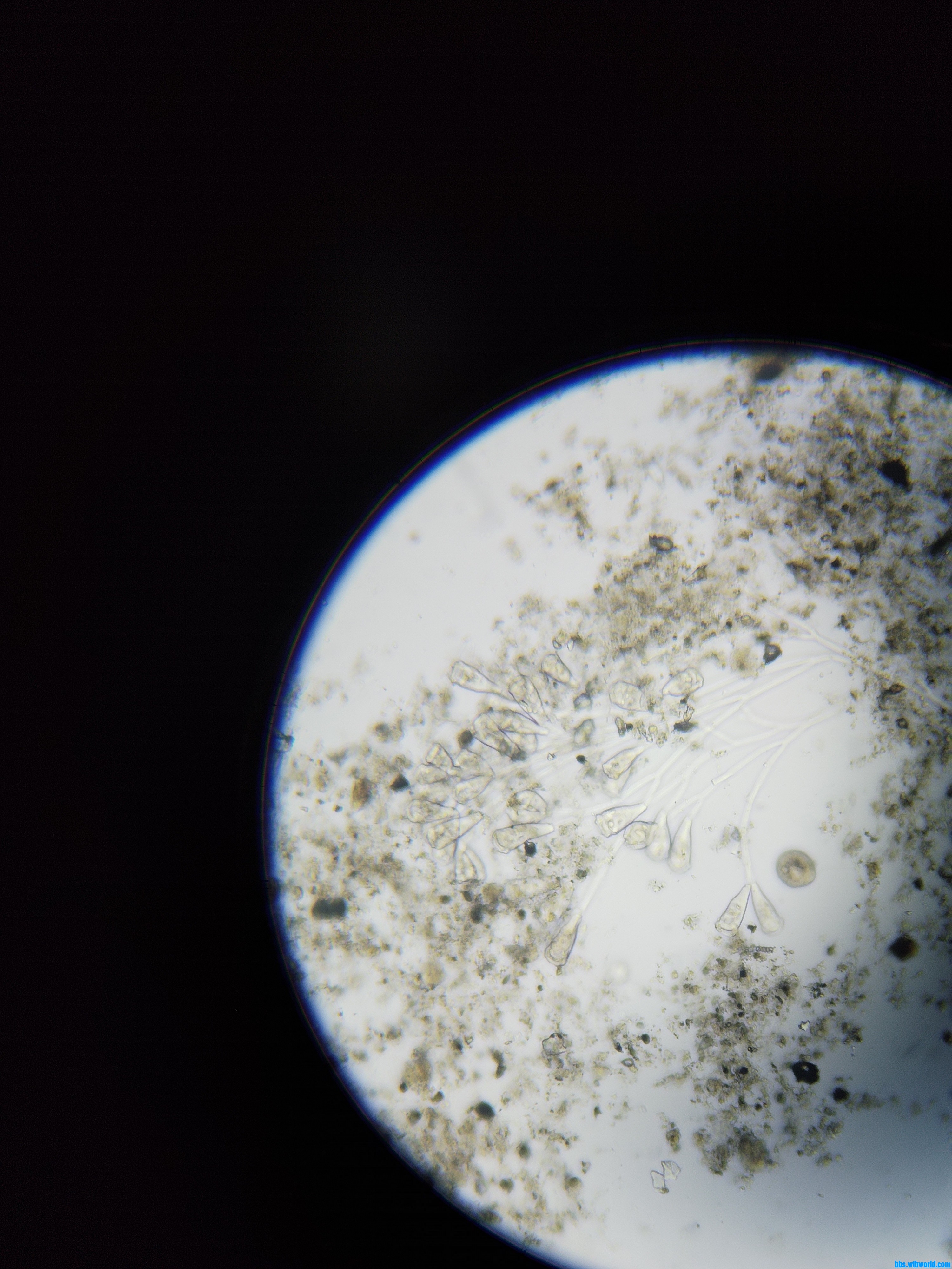 wechat_upload1679808327641fd7474ecfc