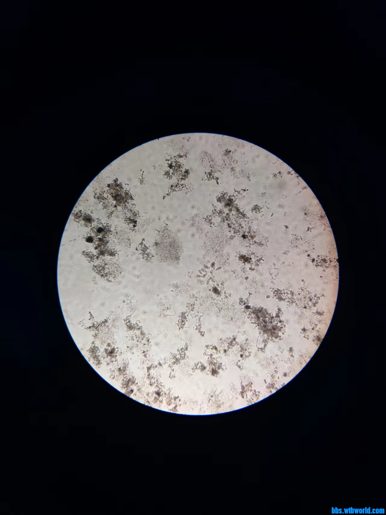 wechat_upload16798372426420483adaac5