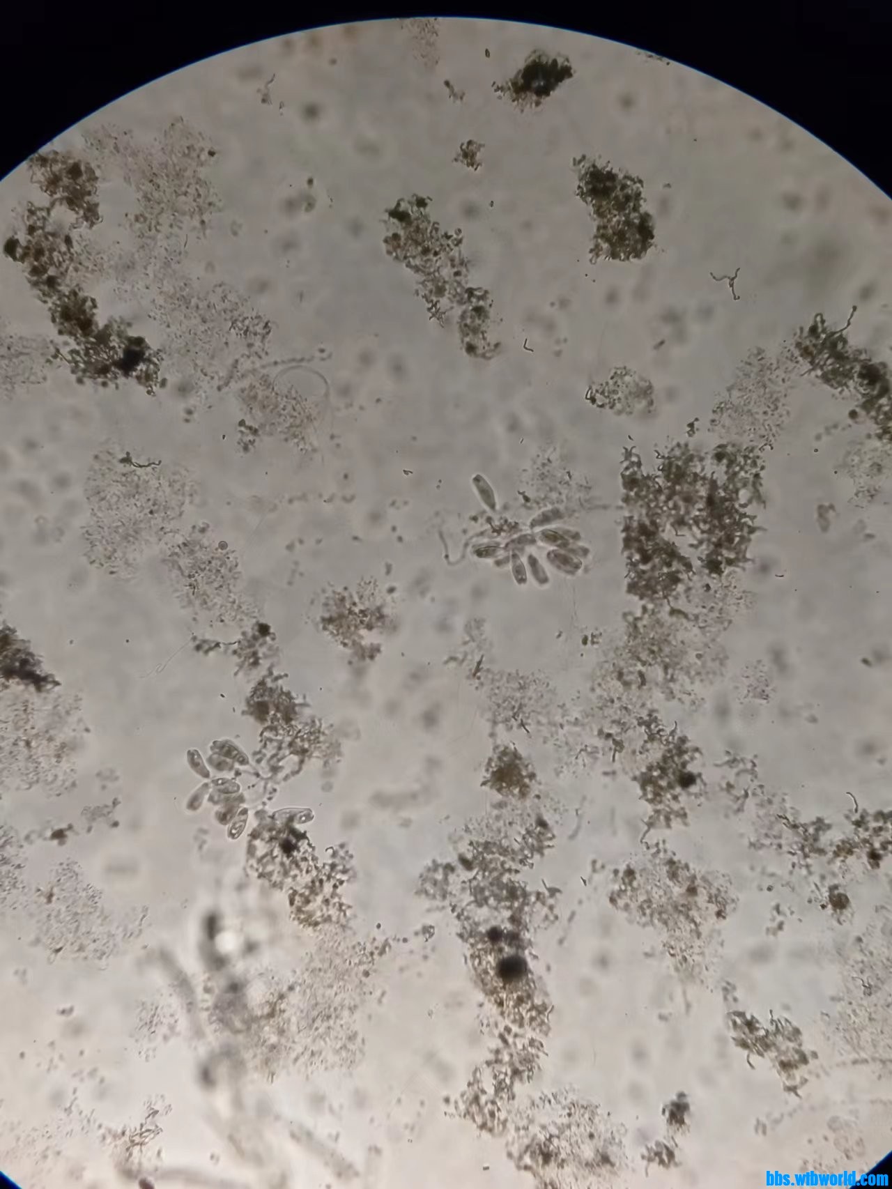 wechat_upload16798372426420483a6ce0c