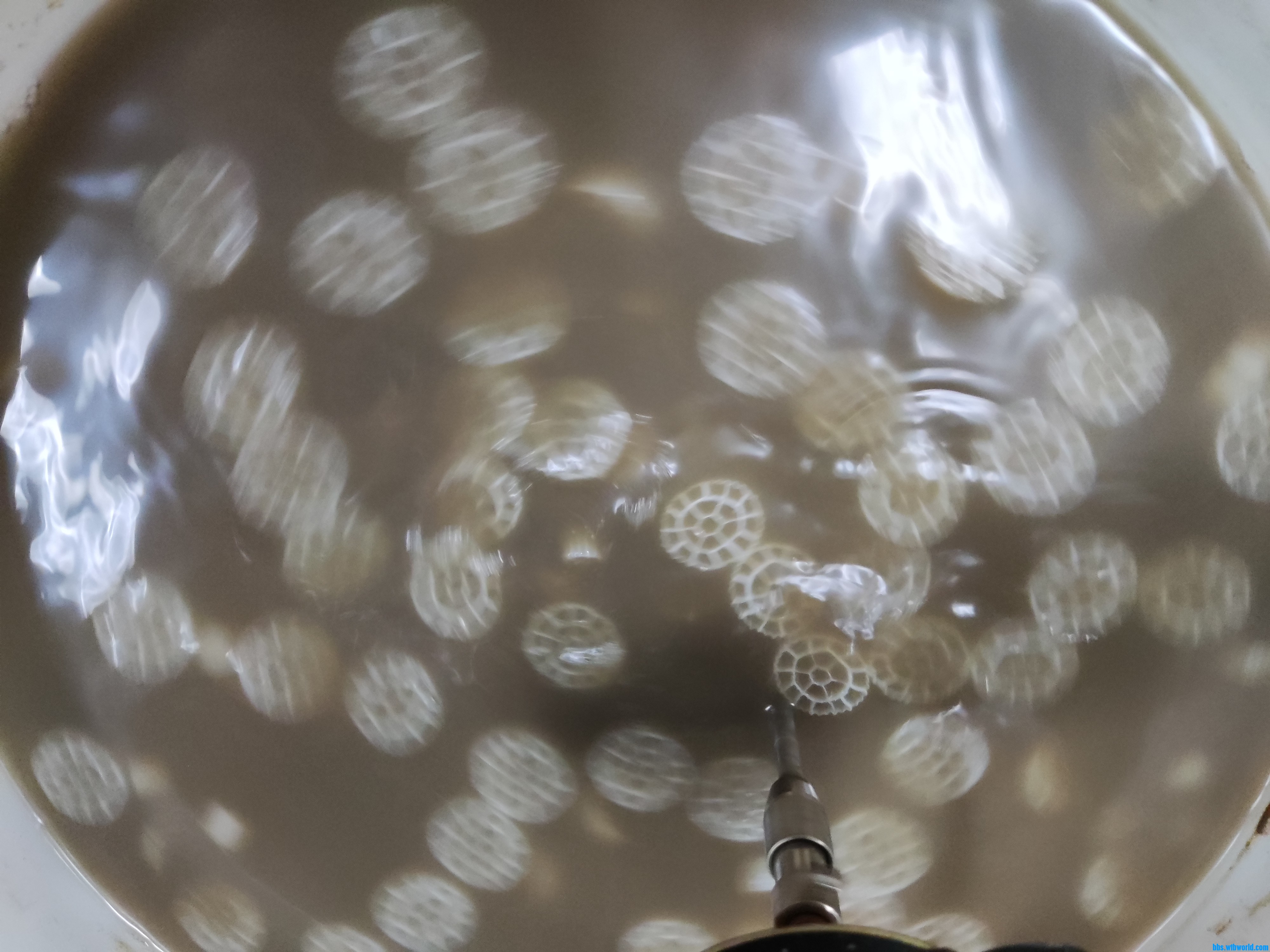 这是缺氧条件下的填料