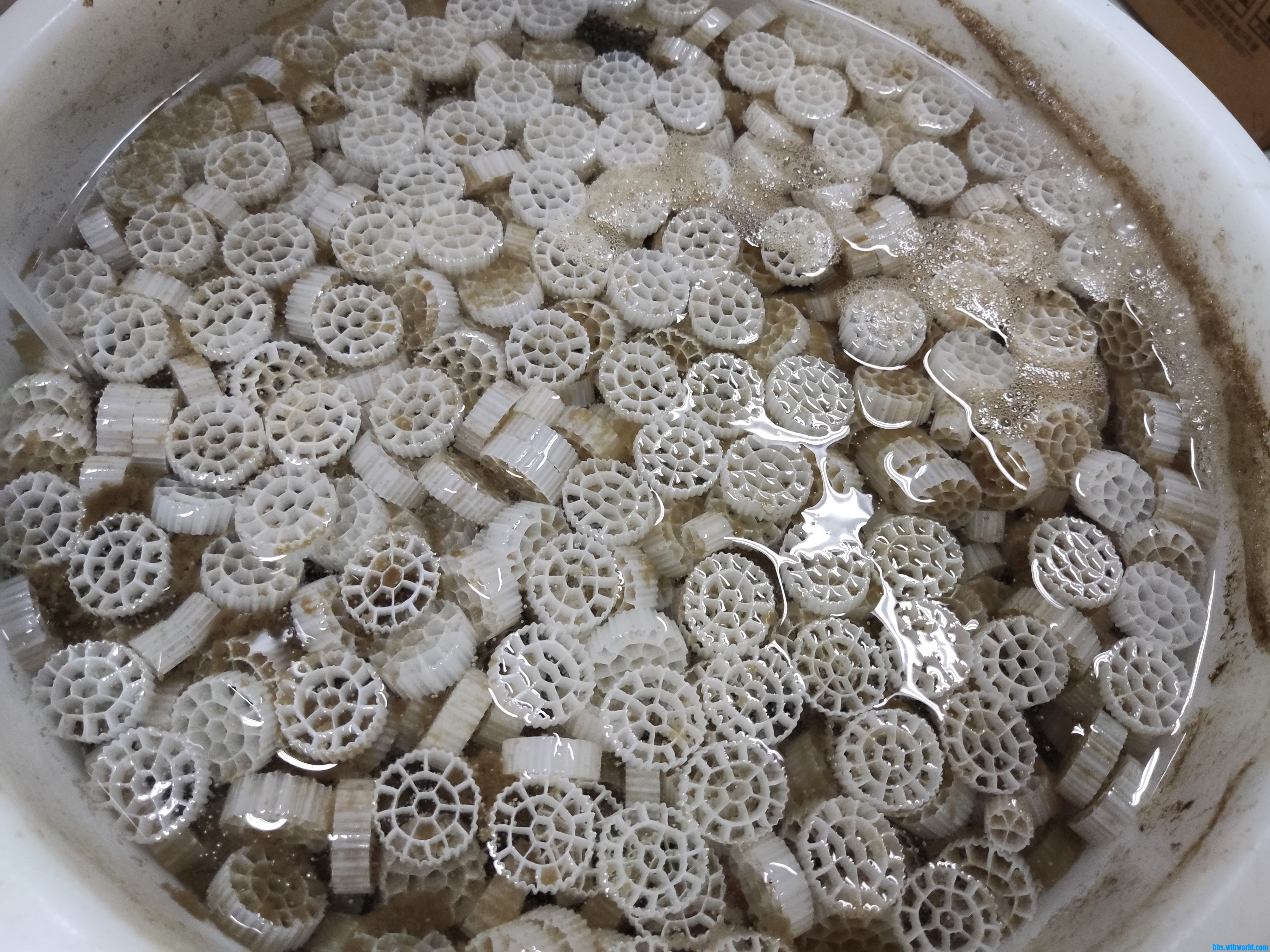 这是没有去除污泥的曝气部分的填料