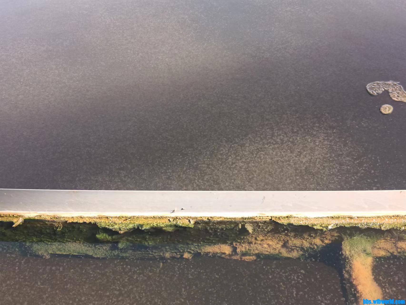 wechat_upload16836188006459fbf072180