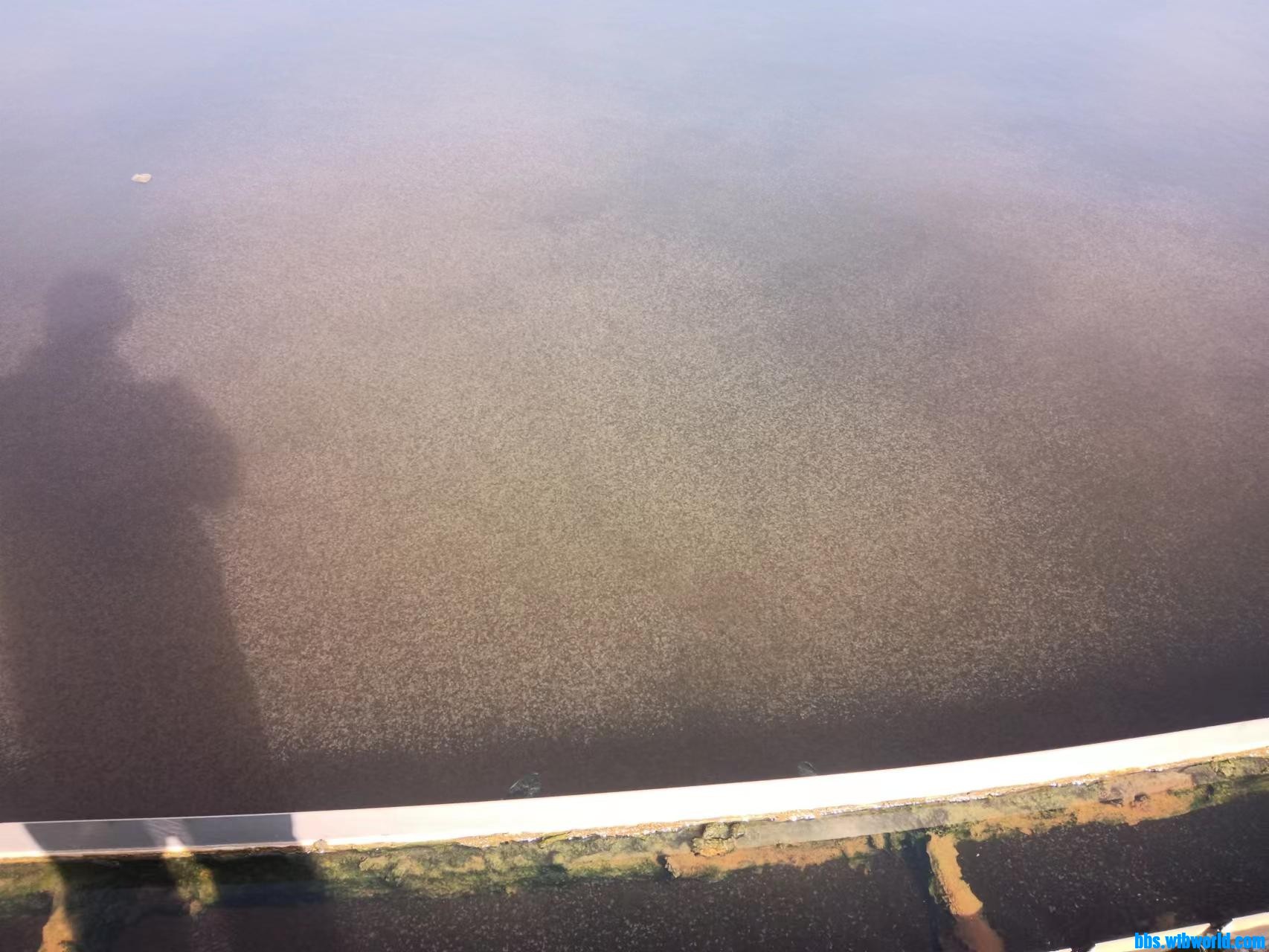 wechat_upload16836188006459fbf0cd15b