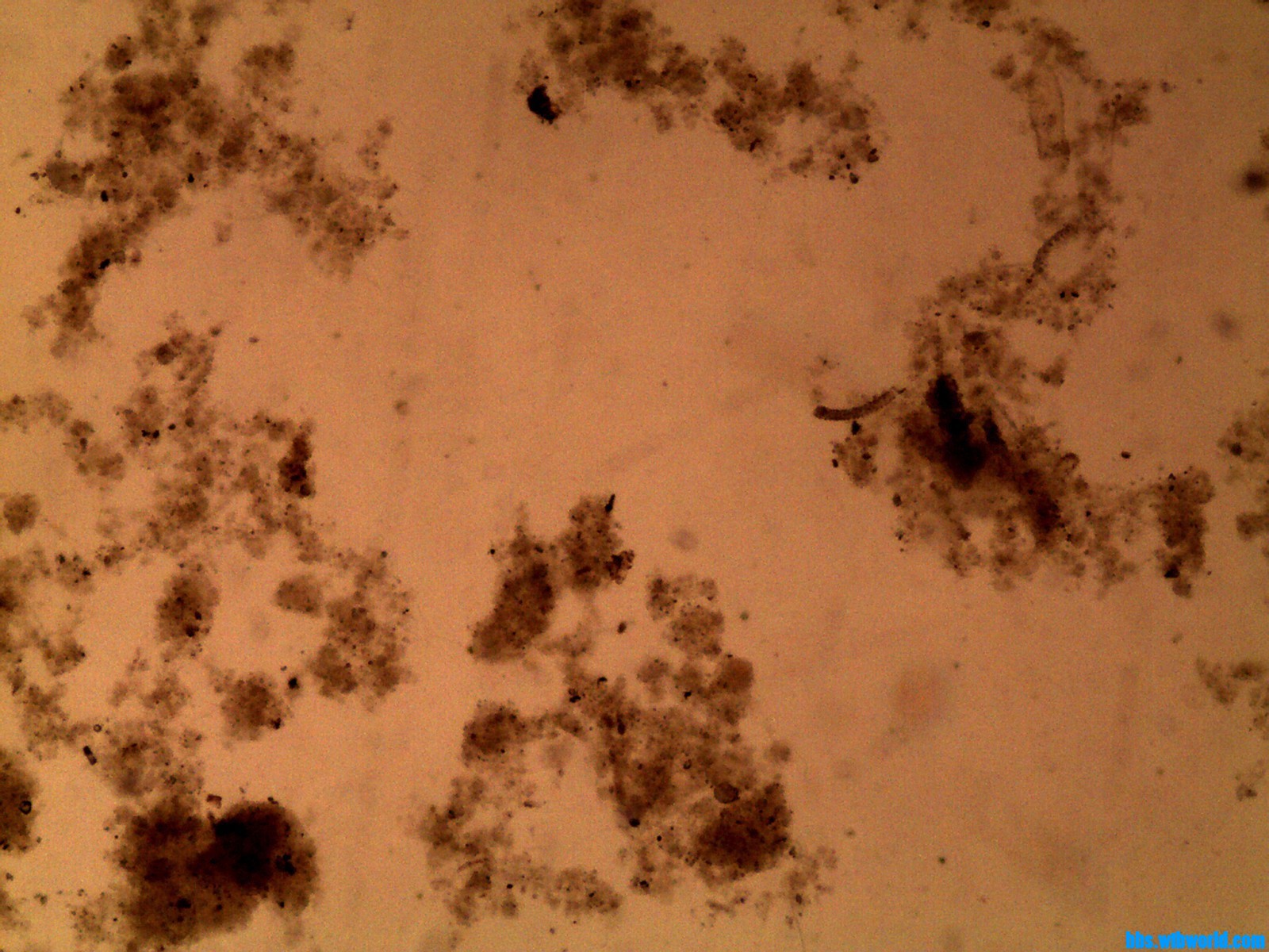 wechat_upload168424234164637fa5c276d