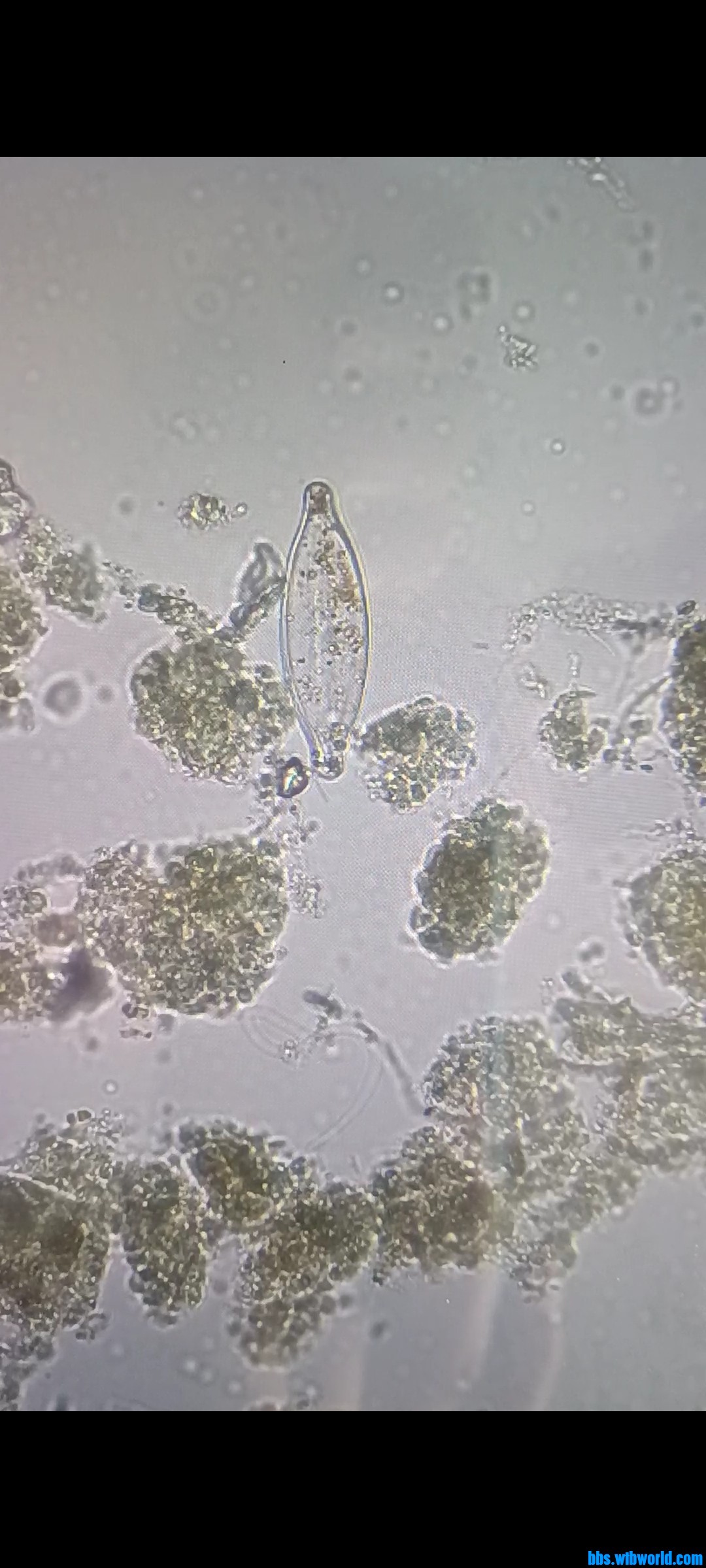 wechat_upload168448265964672a63502c7