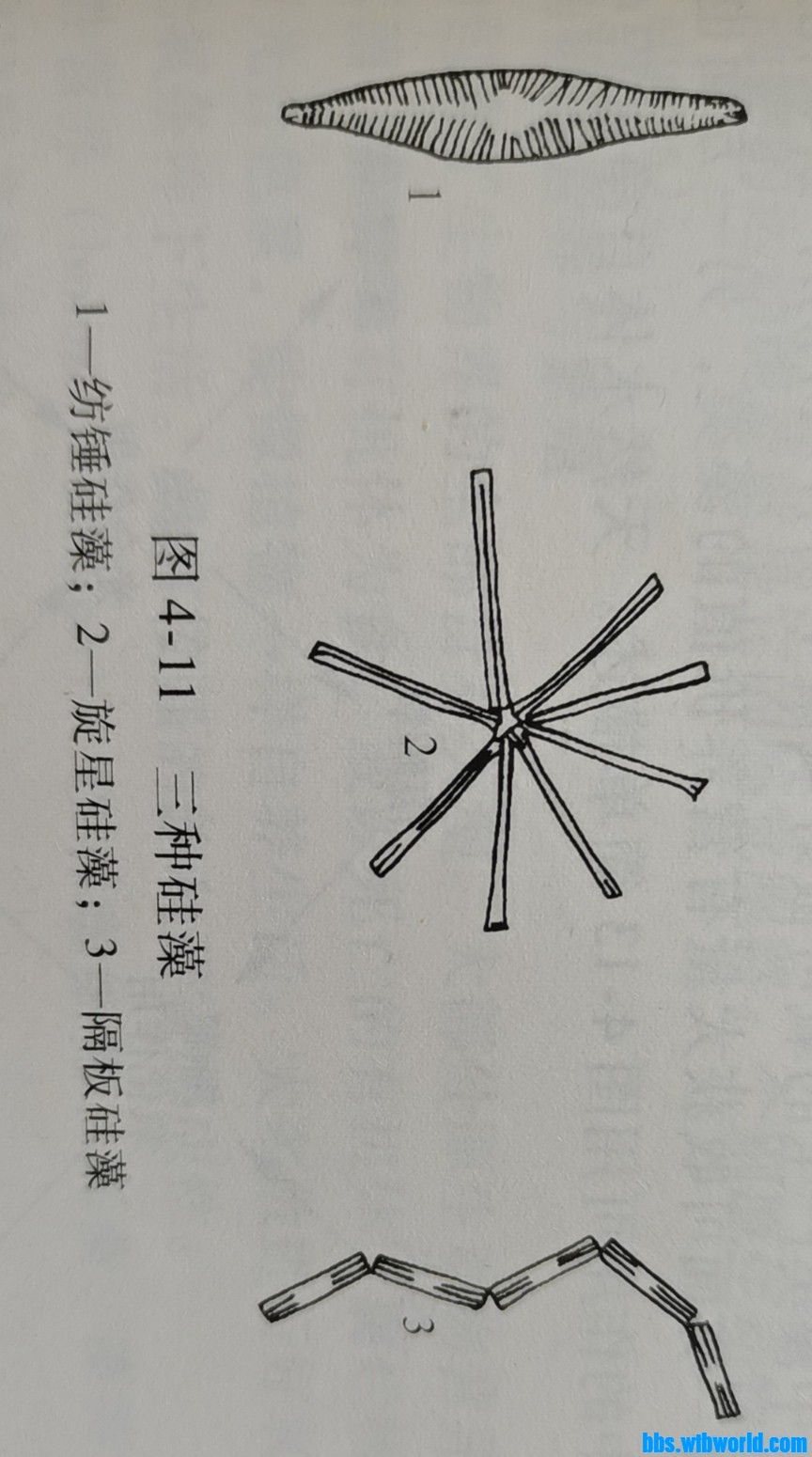 wechat_upload168454814664682a32c6e01