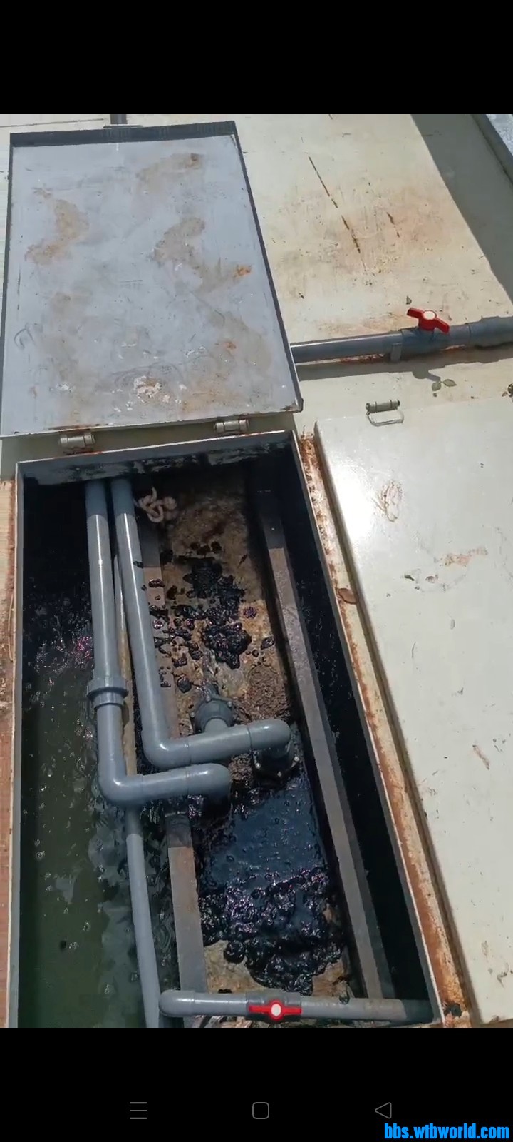 wechat_upload1685411699647557733f39e