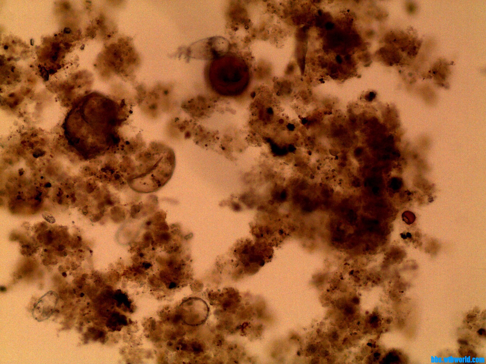 wechat_upload16855429386477581a8f39c