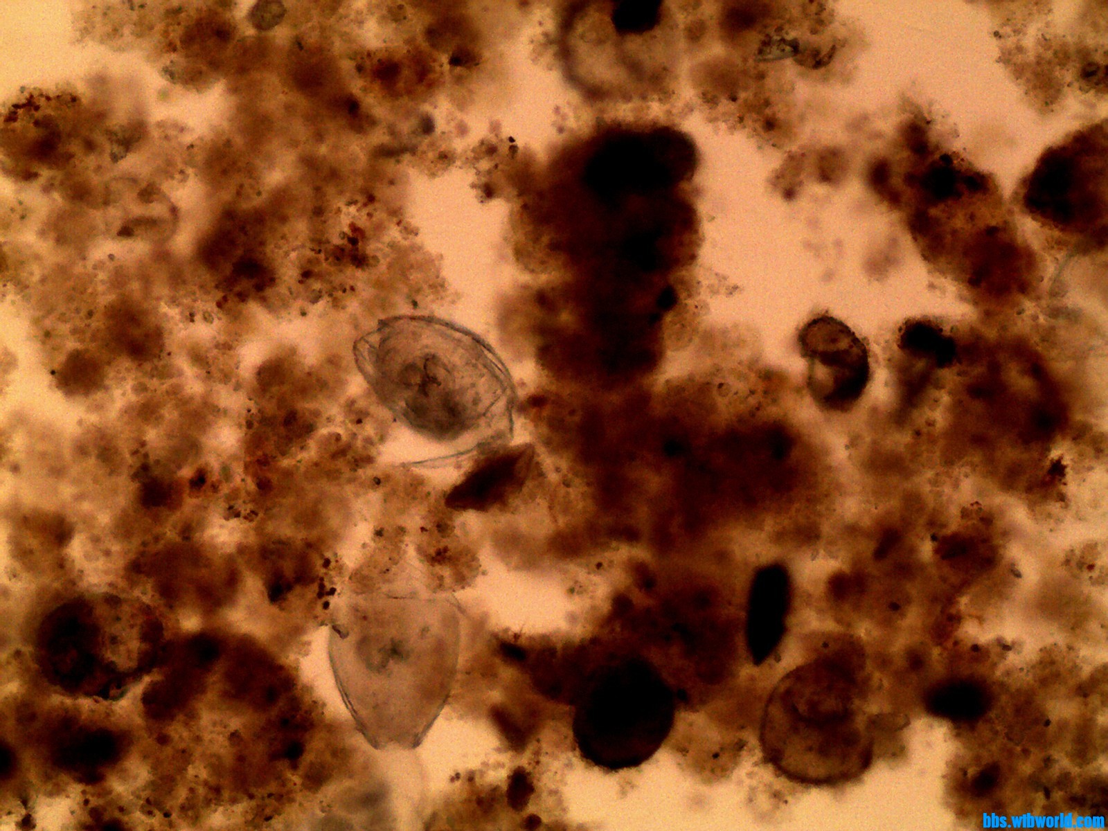 wechat_upload16855429386477581a1ff63