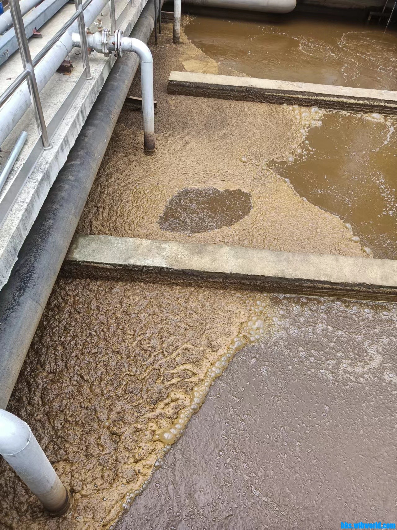 wechat_upload168560771364785521c7e42