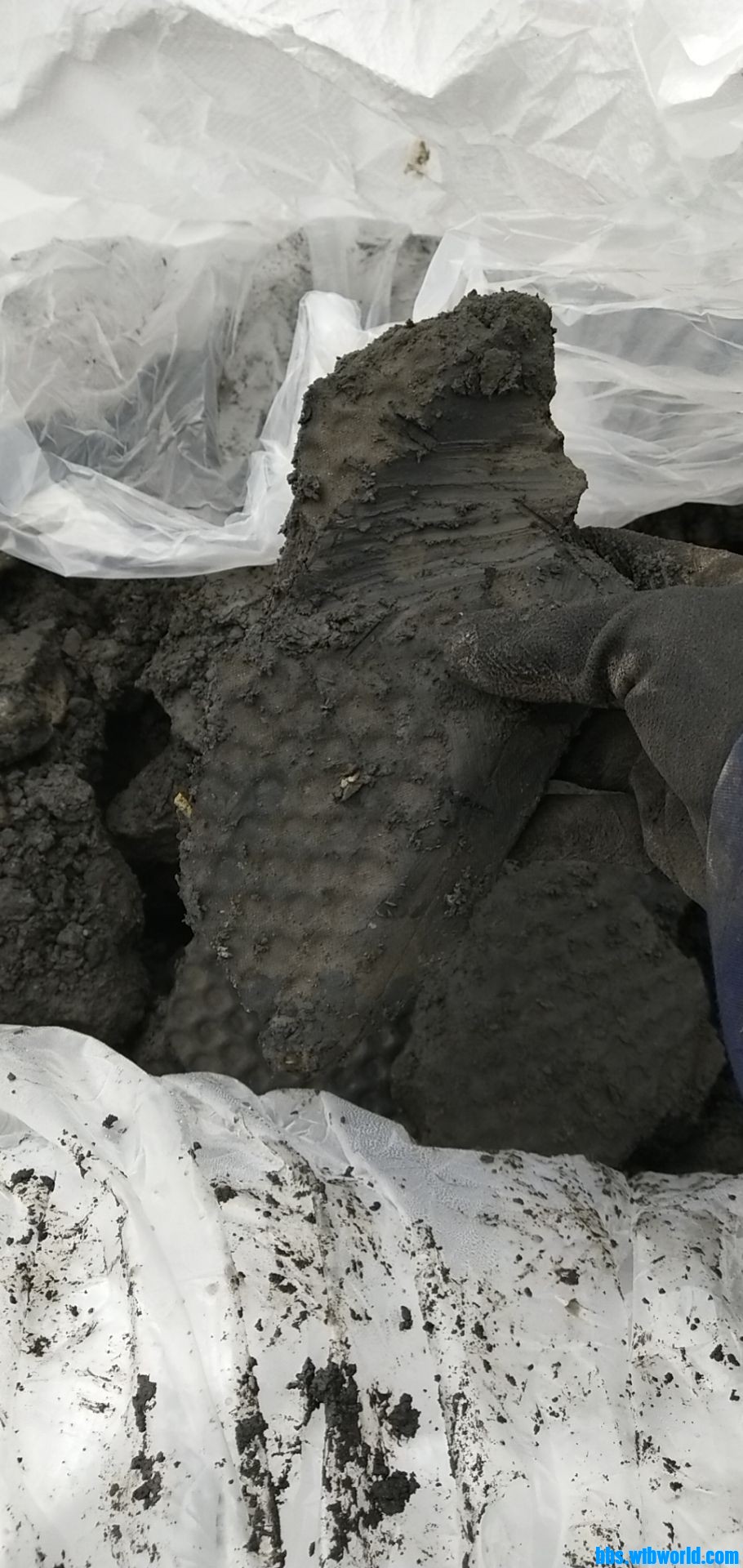 wechat_upload168562211364788d61b2eaa