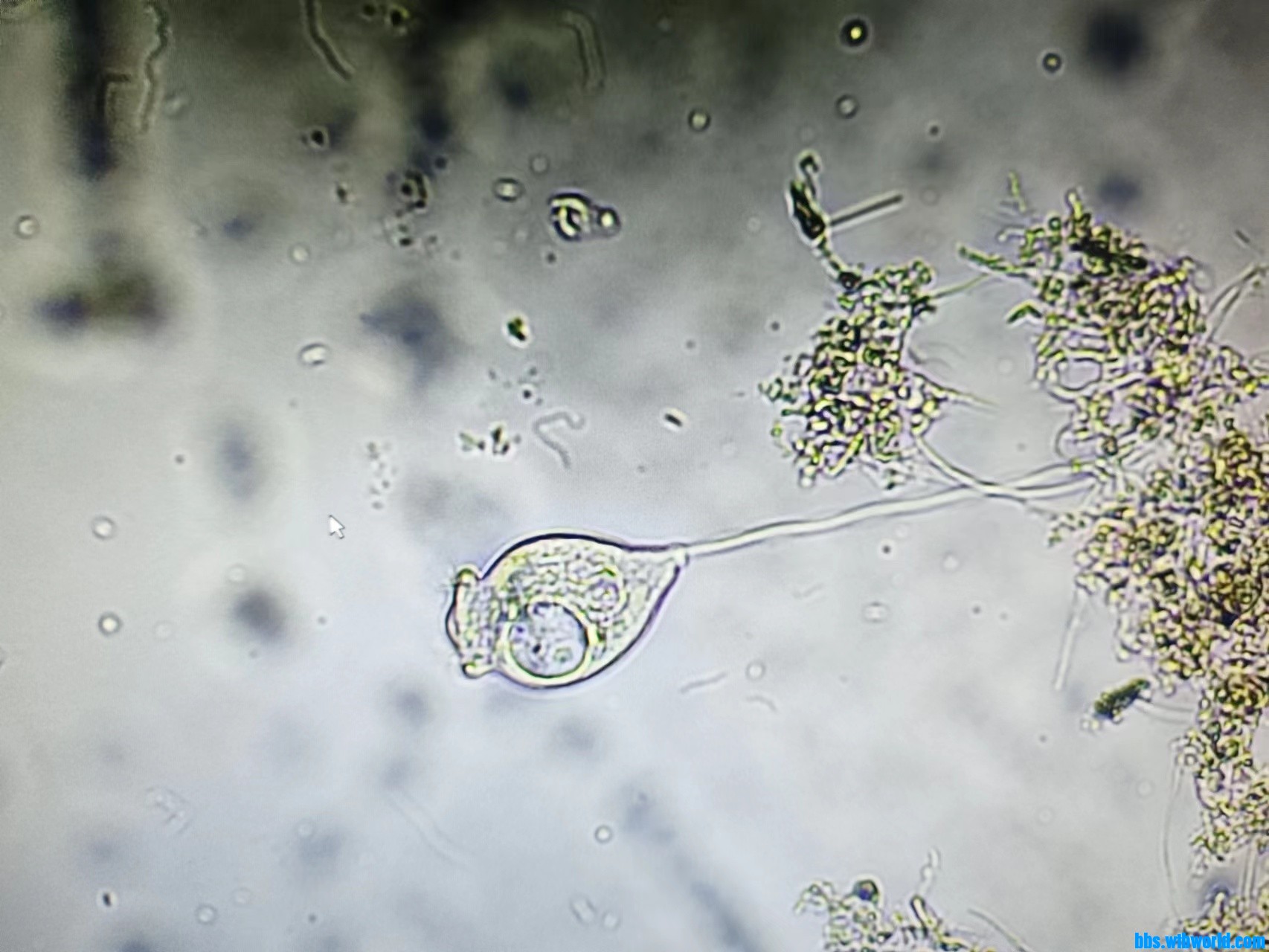 wechat_upload168569128664799b96b9f89