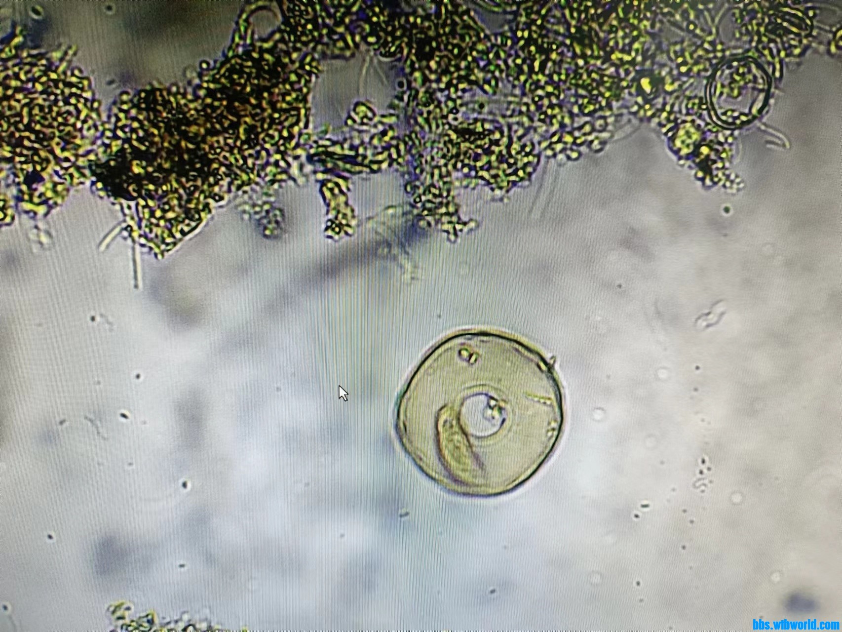 wechat_upload168569128864799b985e070