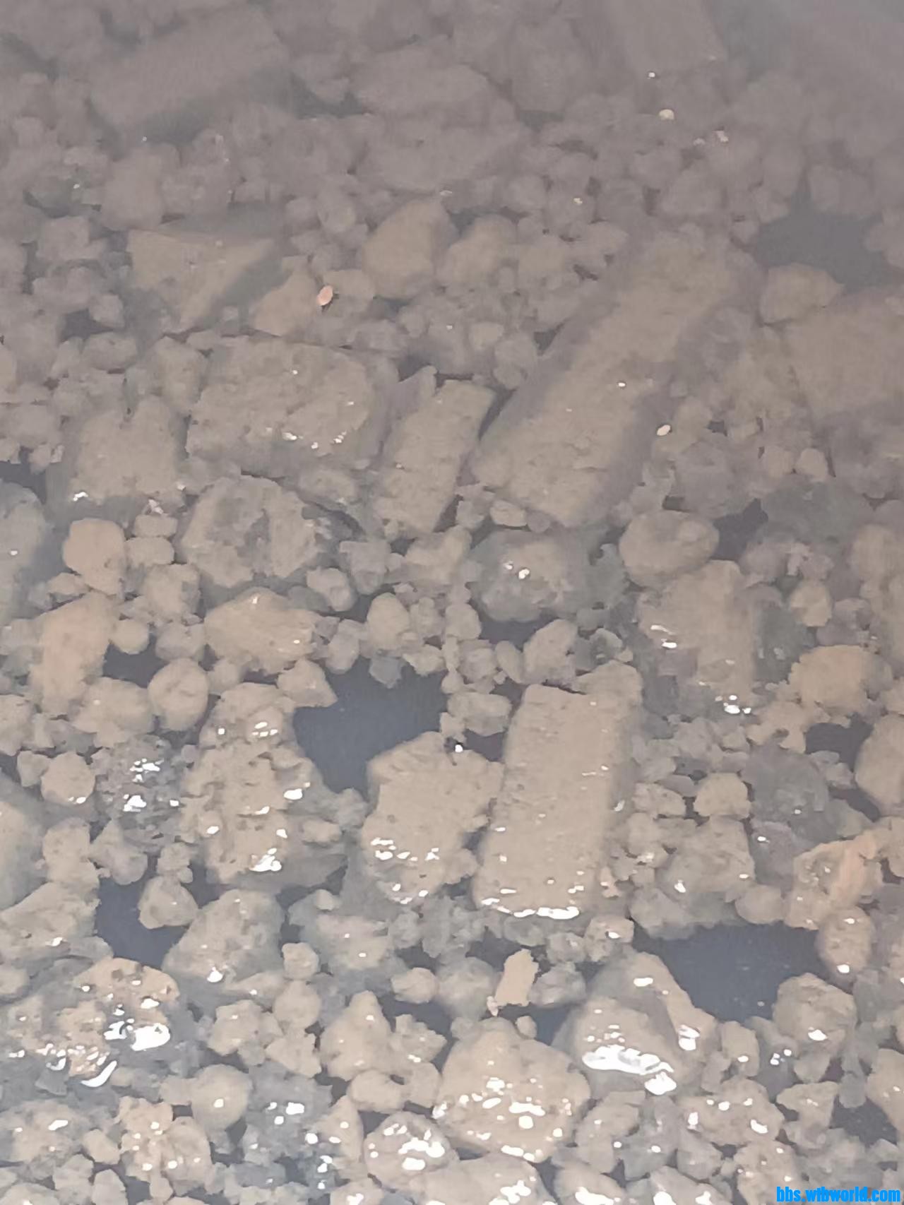 wechat_upload16857007036479c05faa045