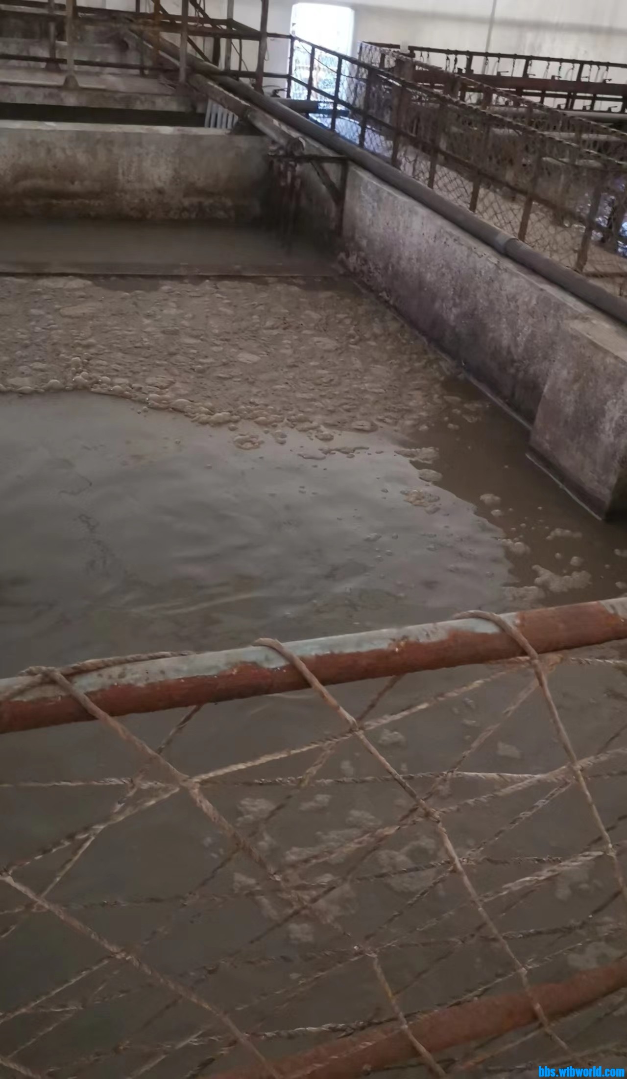 wechat_upload16857046896479cff17430a