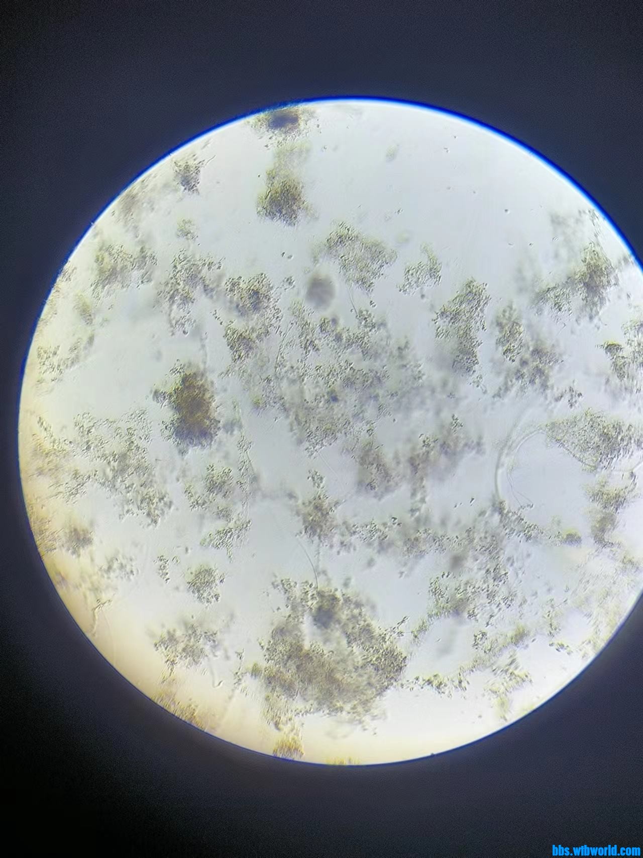 wechat_upload16862707476482731b7a64f